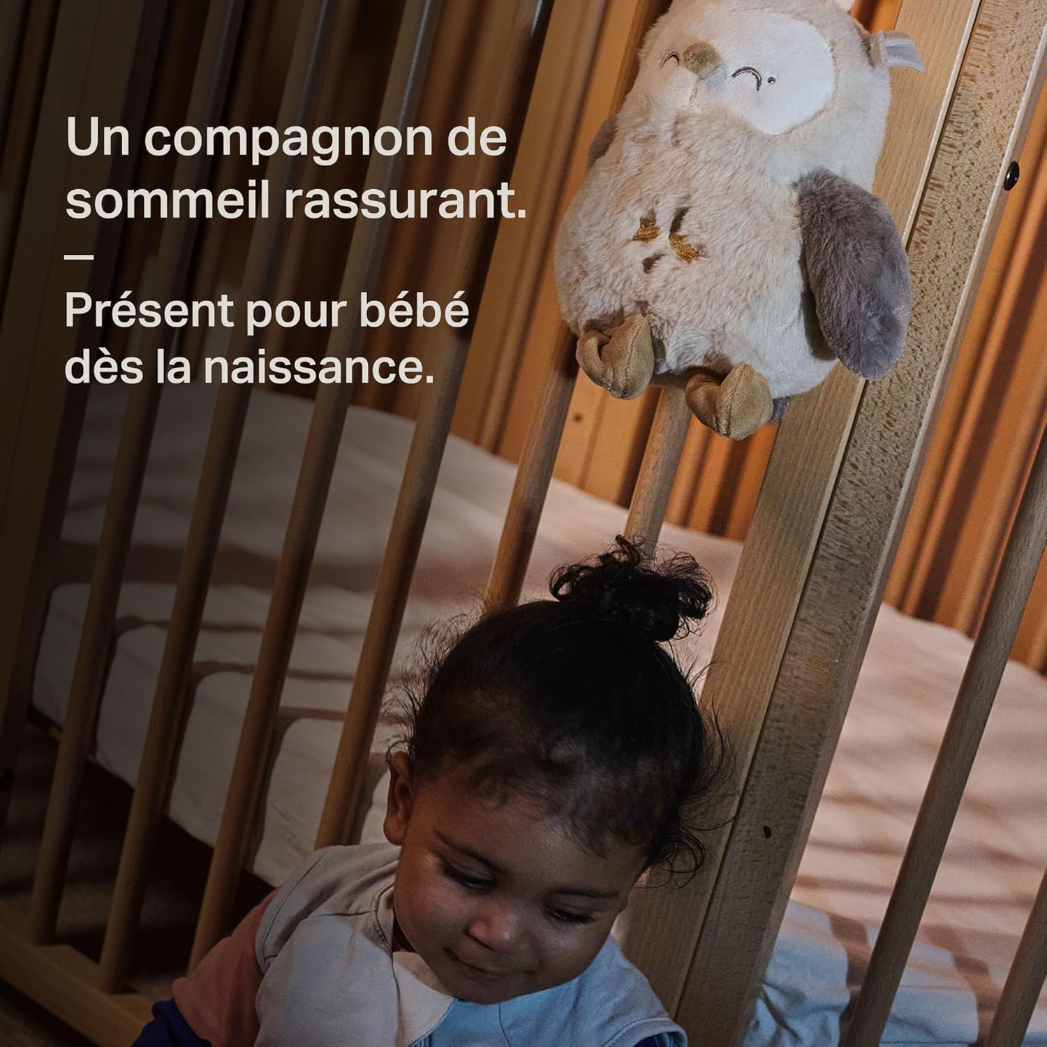 Thumbnail 5 de Tommee Tippee OllieChouette veilleuse sonore 72 h