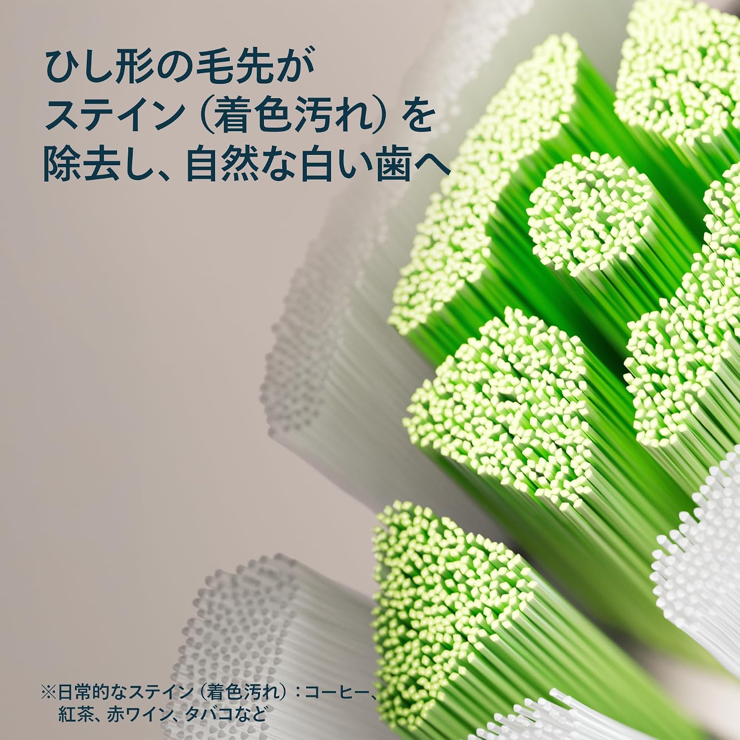 Detalle de フィリップス ソニッケアー W2 ホワイトプラス HX6066/14 替えブラシ レギュラー6本