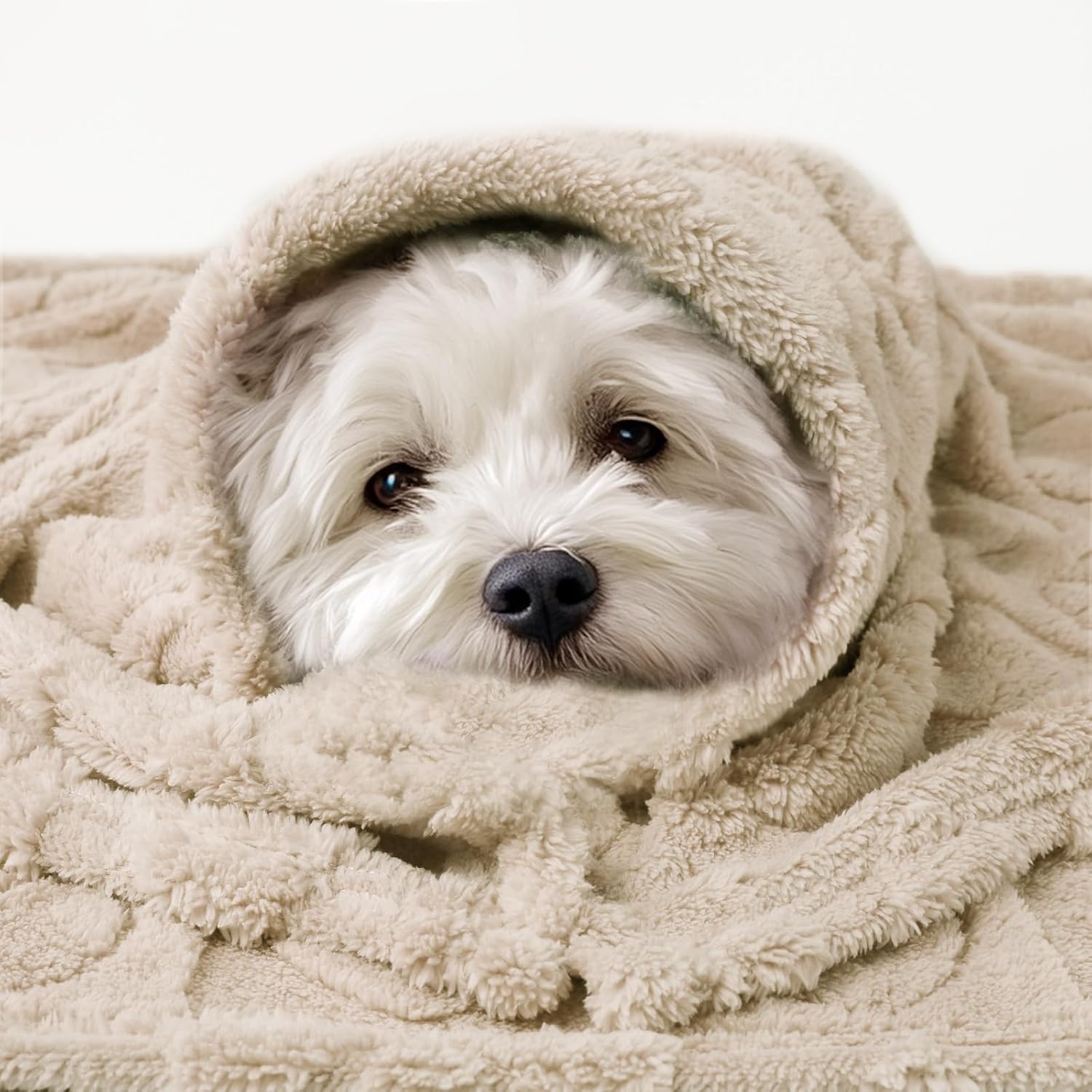 Detalle 2 de Luciphia Pet Blanket, 30 x 20 Inches