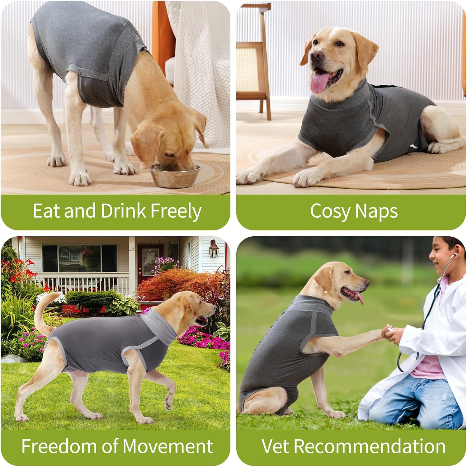 Thumbnail 6 de HEYWEAN Tuta per recupero post-operatorio del cane per castrazione e sterilizzazione