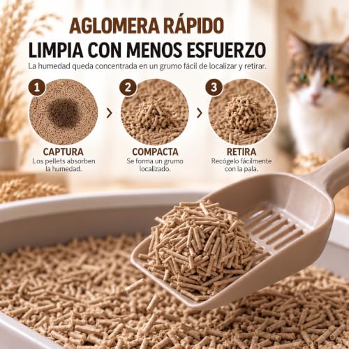 Detalle de Edipets Arena de Tofu para Gatos | Pack 4 x 10,8 kg (Sin perfume) - Arena aglomerante vegetal