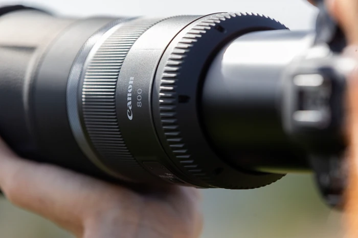 Thumbnail 10 de Canon RF 800mm f/11 IS STM – Superteleobjektiv für Wildlife-Fotografie