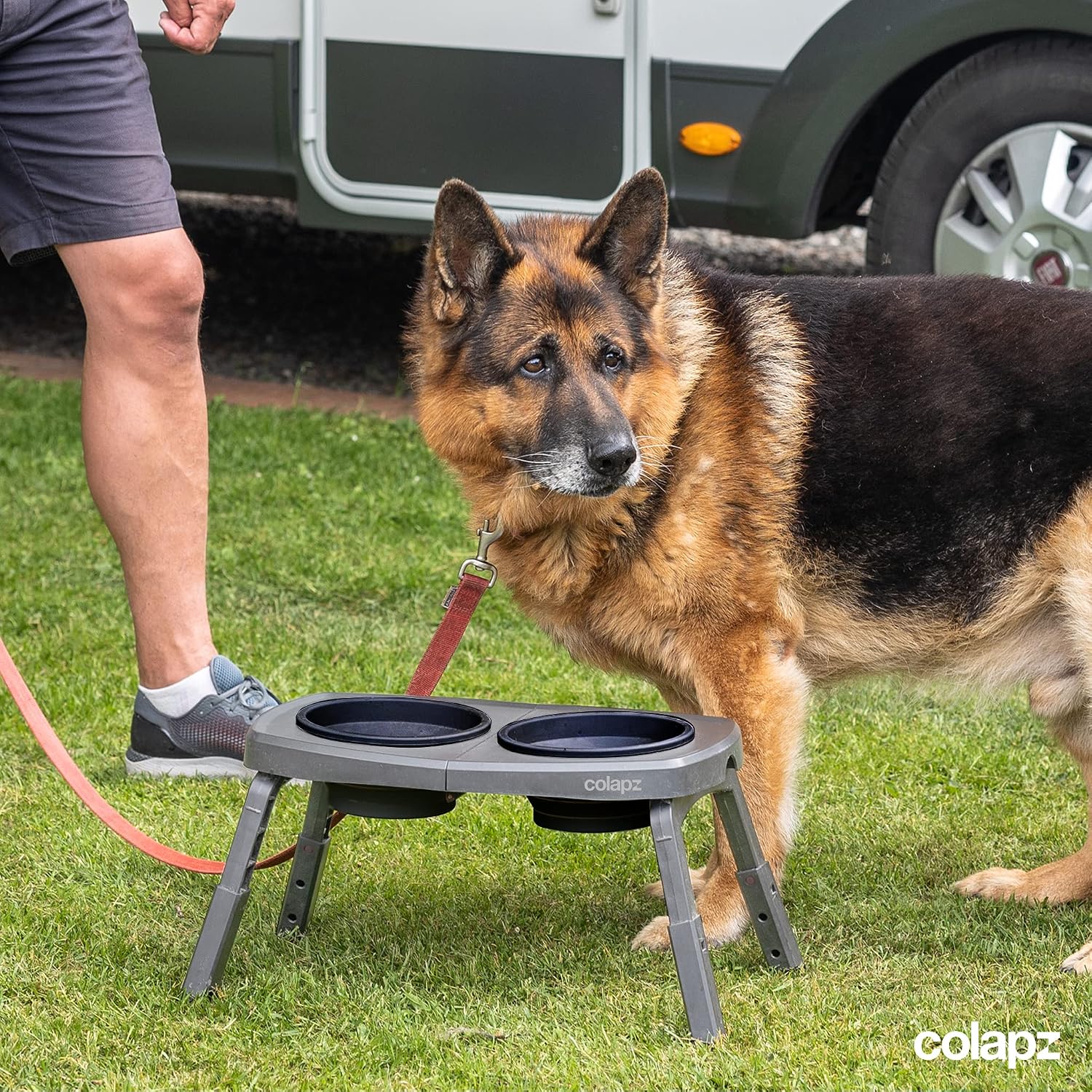 Detalle de Colapz Collapsible Dog Bowls with Adjustable Stand – Foldable Elevated Feeding for Pets