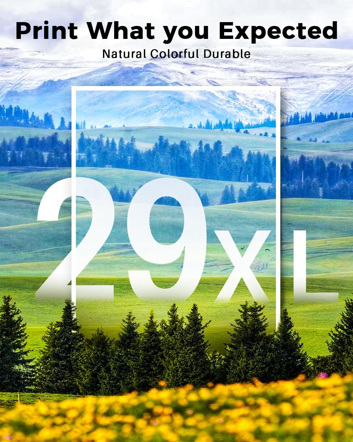 Detalle 2 de Skydo 29XL Cartucce d'inchiostro Compatibili per Epson (5 pezzi) – Nero x2 e Colori (Ciano, Magenta, Giallo) per XP-235/XP-245/XP-255/XP-345/XP-435/XP-247/XP-332