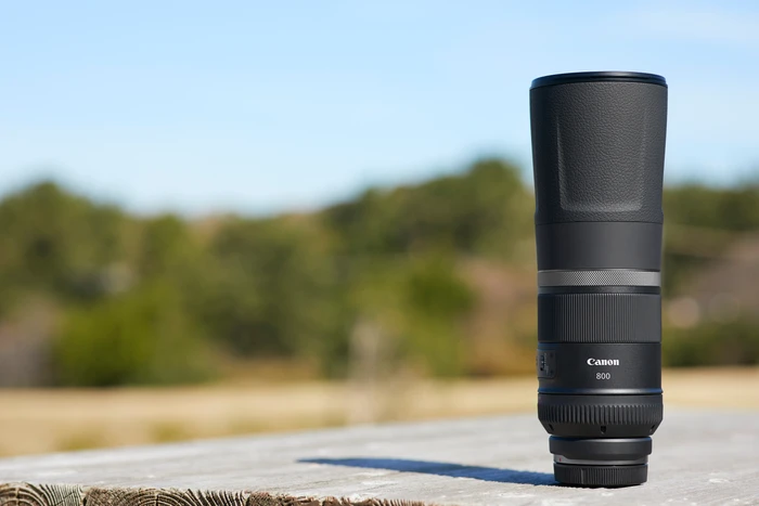Thumbnail 9 de Canon RF 800mm f/11 IS STM – Superteleobjektiv für Wildlife-Fotografie