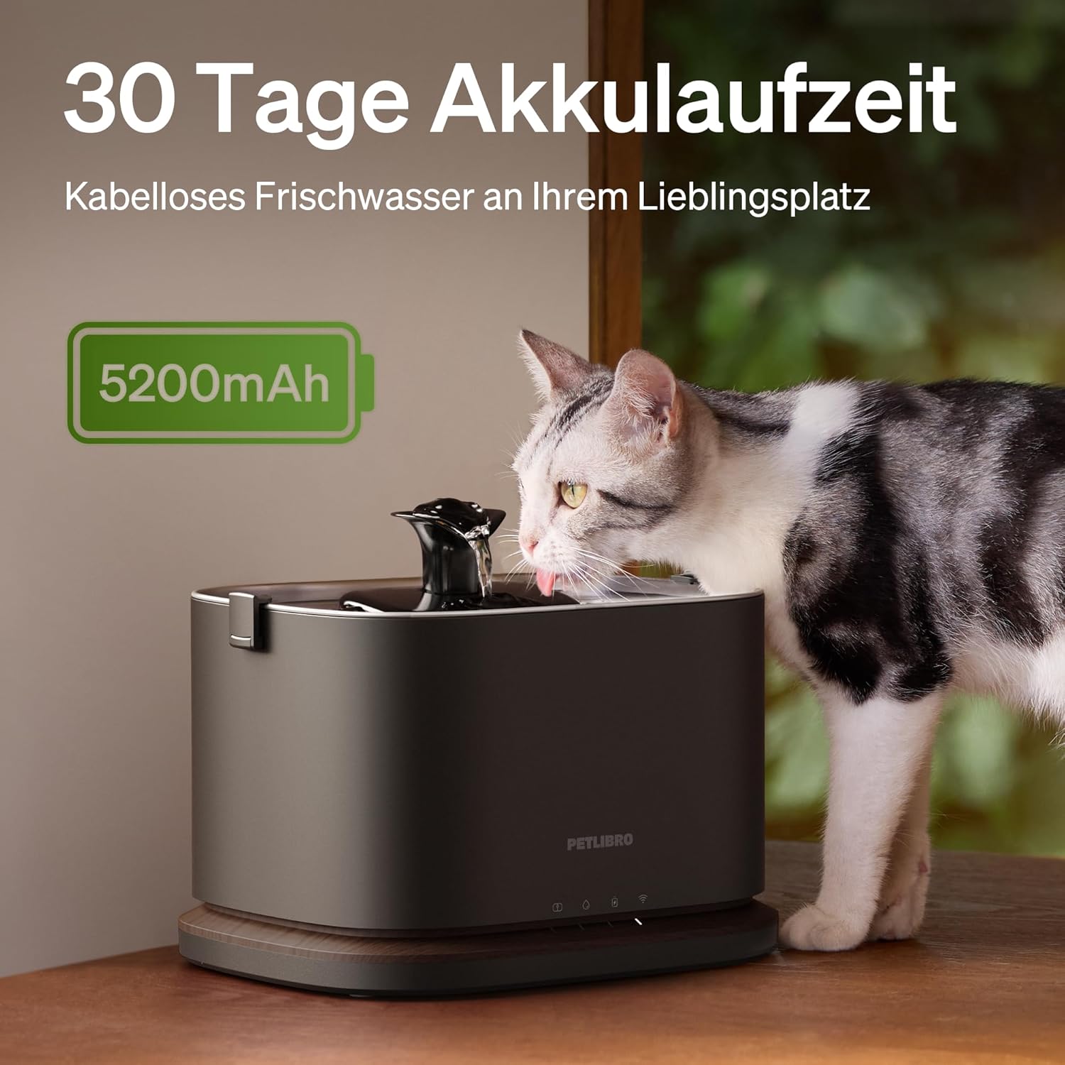 Detalle 2 de PETLIBRO Dockstream 2 Katzenbrunnen 3L 🐱