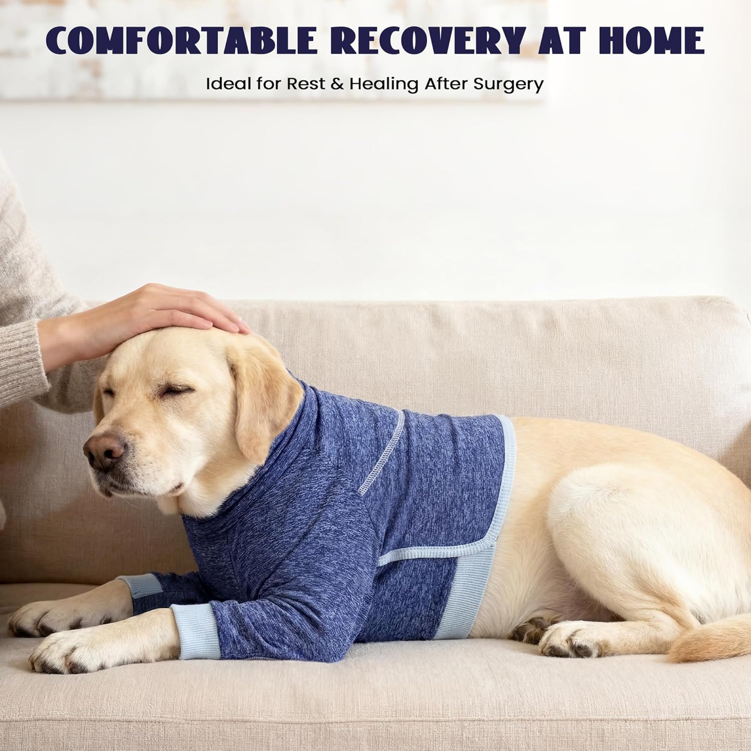 Thumbnail 6 de OUOBOB Dog Surgery Recovery Suit – Front Leg & Chest Wound Healing, Blue, L