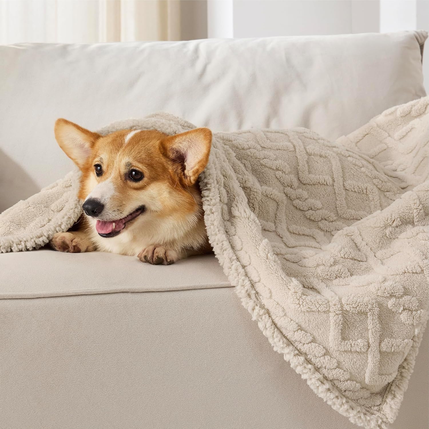 Detalle de LE SURE Large Dog Blanket Washable – 80x100cm Waterproof Plush Throw for Medium Dogs and Large Cats