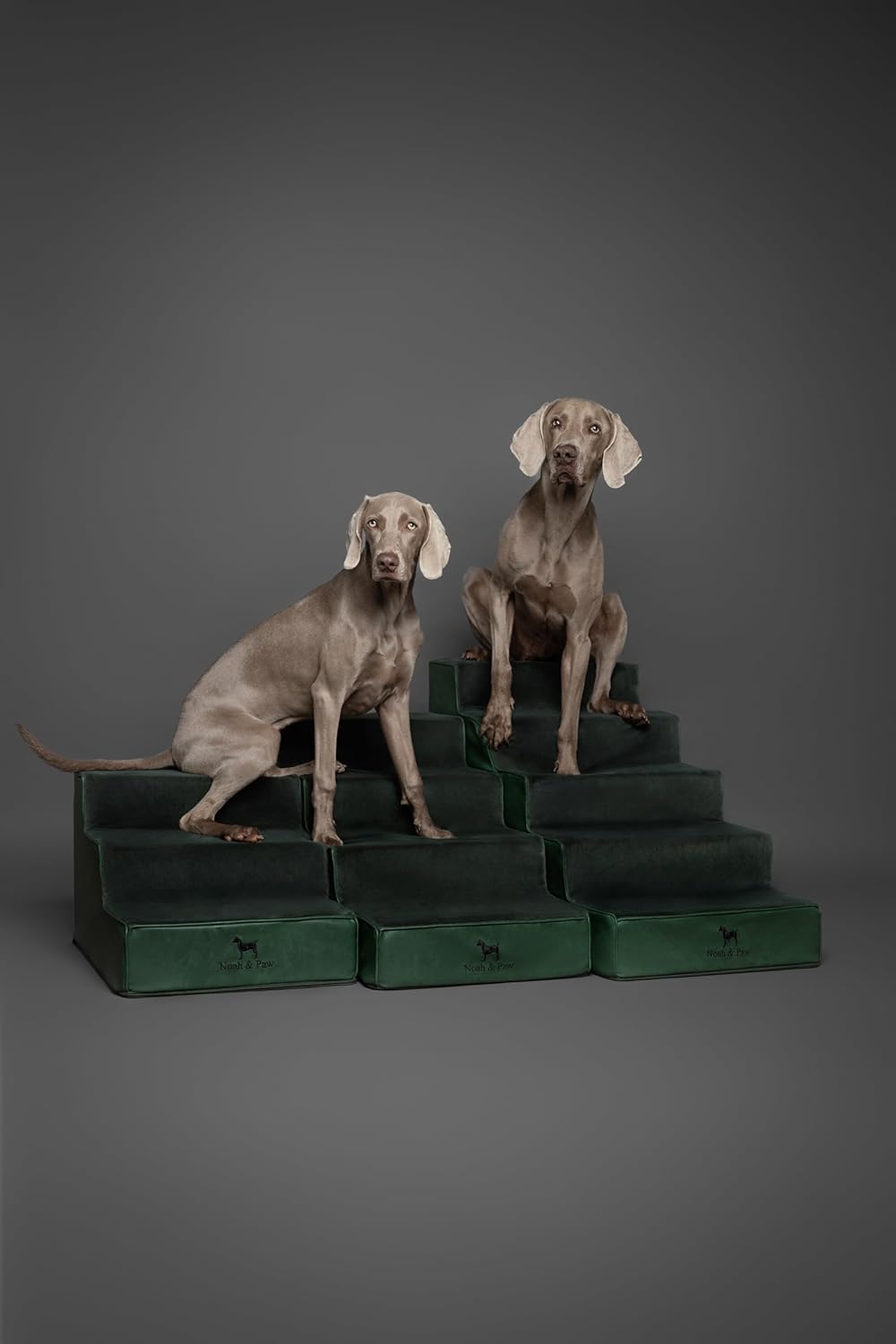 Thumbnail 6 de Noah & Paw Dog Stairs Leather Collection: 17" Extra-Wide 4-Step Dog Ramp for High Beds