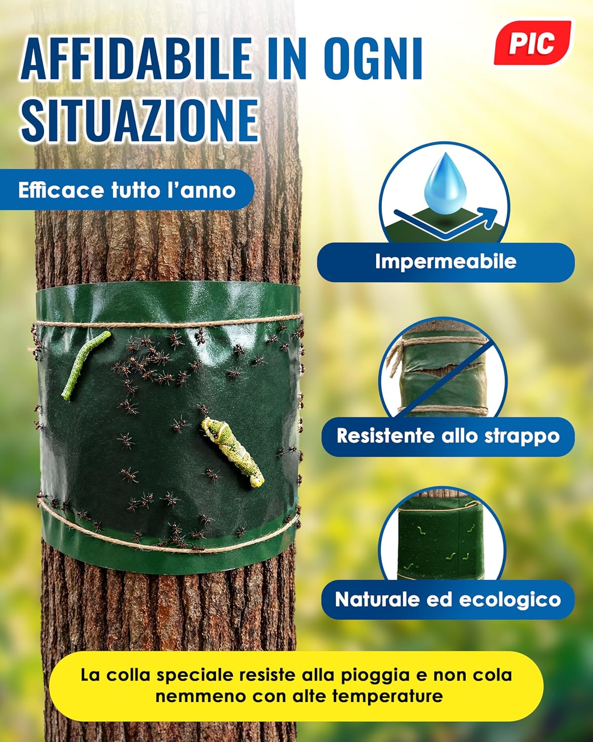 Detalle de PIC Anello Colla per alberi da frutto 2x5m