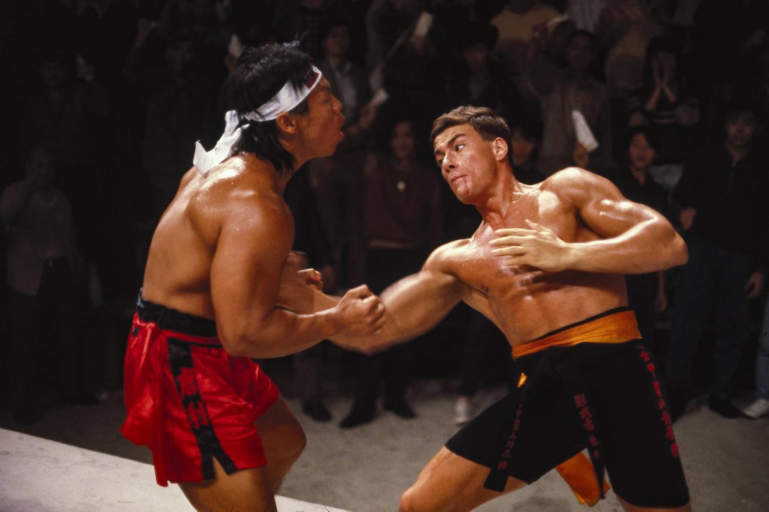 Thumbnail 1 de Bloodsport Blu-Ray ESC EDITIONS