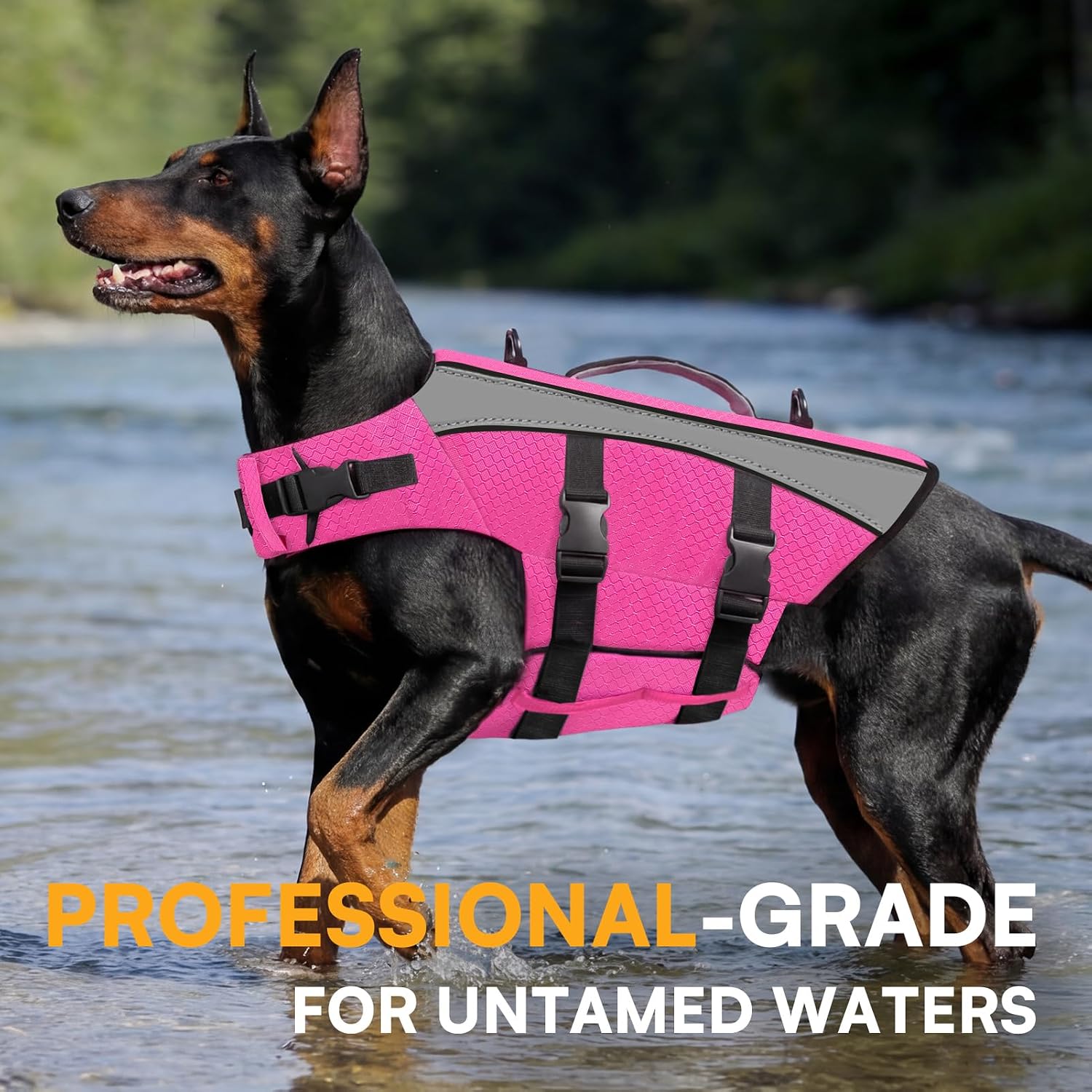 Thumbnail 5 de Queenmore Dog Life Jacket