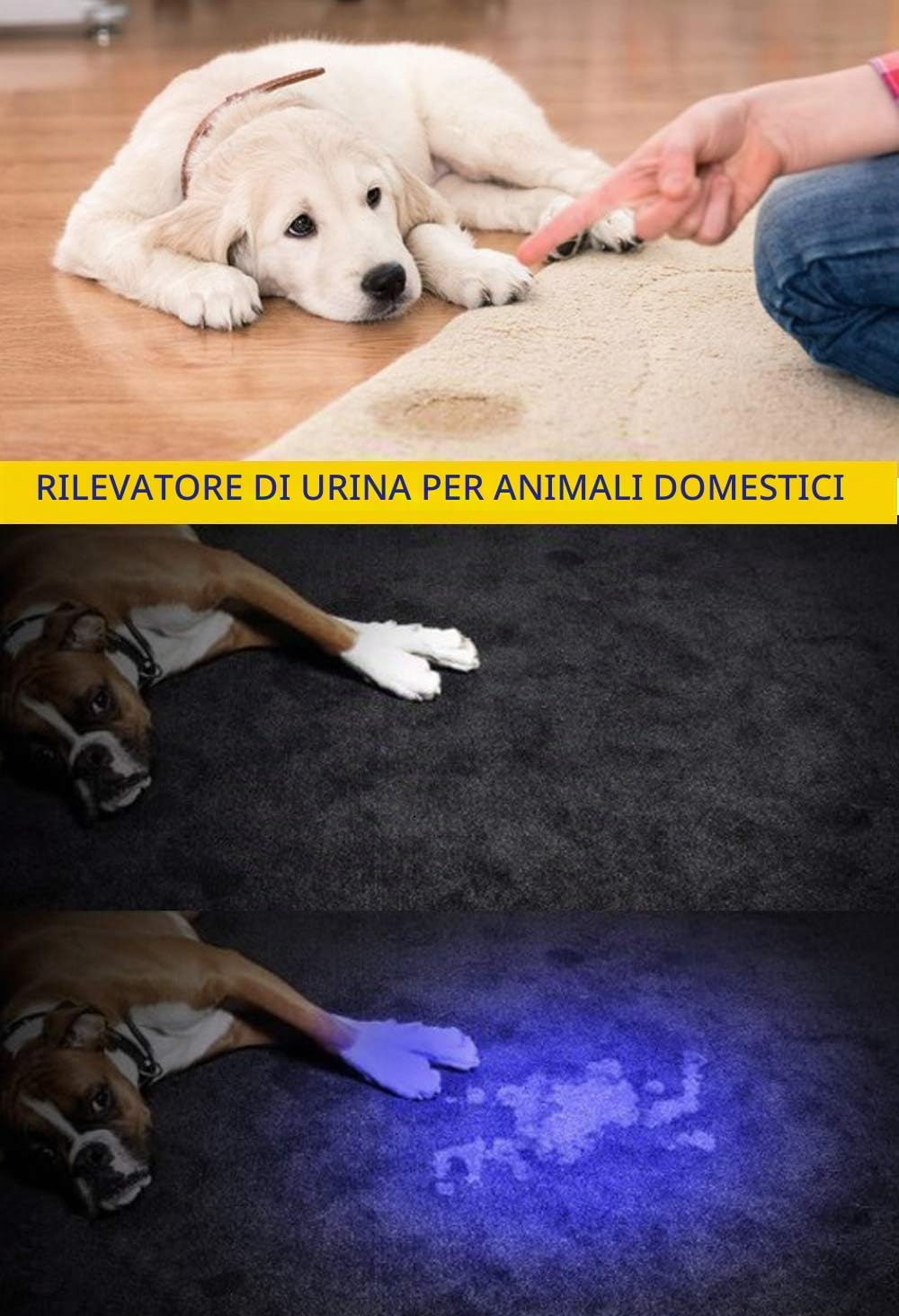 Thumbnail 6 de DARKBEAM A100 Torcia UV 365/395 nm: Luce Nera Portatile con Focus Regolabile