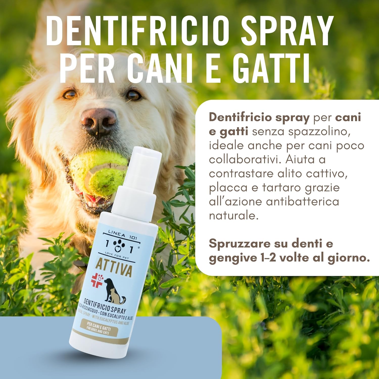 Detalle de Linee 101 Dentifricio Spray per Cani con Aloe, Menta ed Eucalipto – Igiene orale pratica e naturale