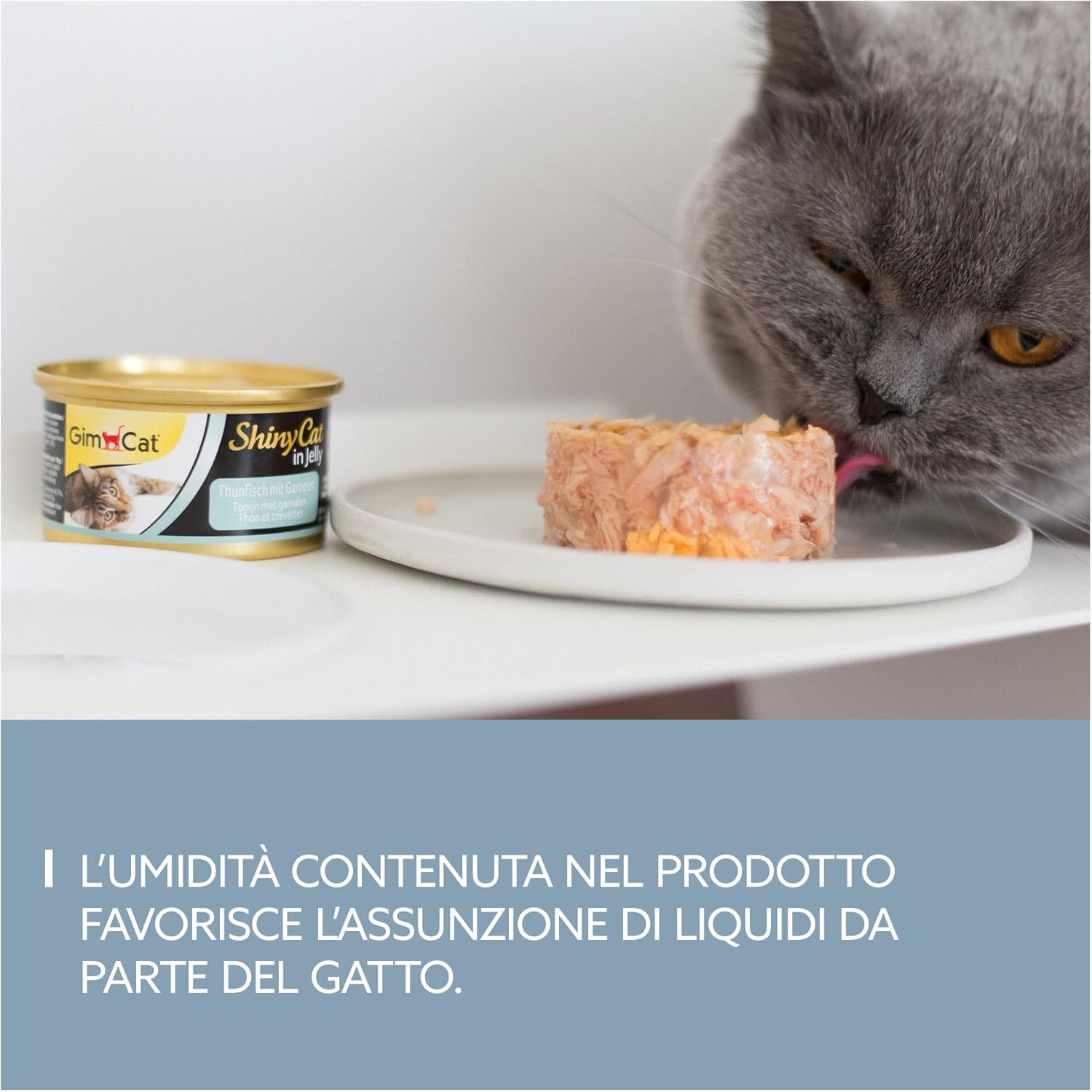 Detalle de GimCat ShinyCat in gelatina tonno e gamberetti – 24 x 70 g, cibo umido in gelatina per gatti adulti