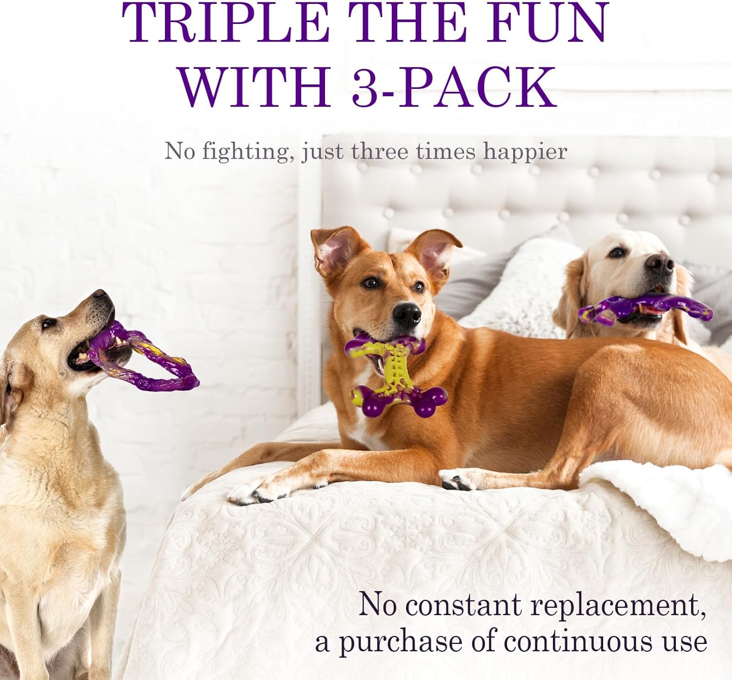 Detalle de ChienBox Dog Toys 3 Pack indestructible nylon chew bones (bacon flavour) for medium to large dogs