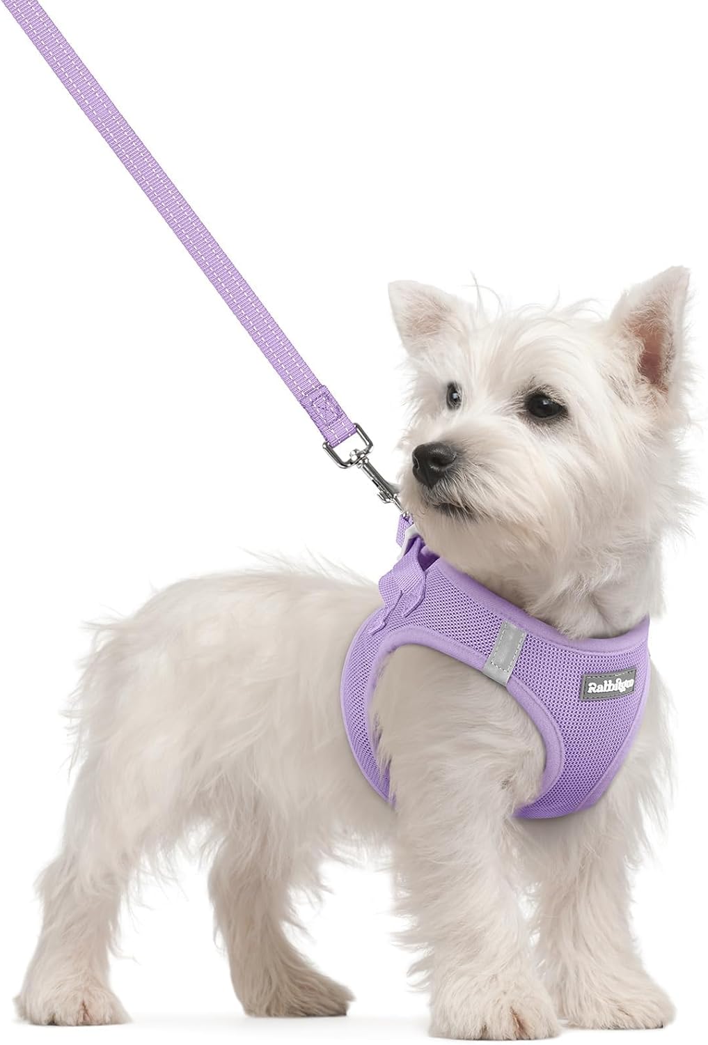 Detalle de rabbitgoo Small Dog Step-in Soft Mesh Harness & Lead Set (Reflective Strips) – Light Purple, S