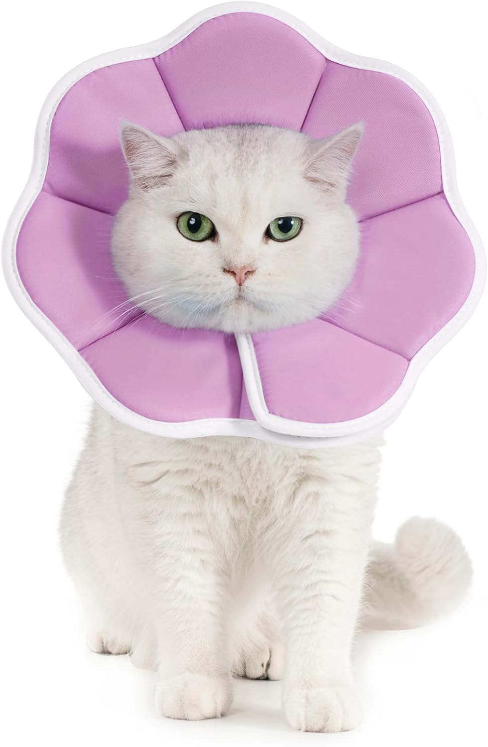 Thumbnail 6 de Avont Cat Cone L Adjustable Soft E-Collar, Cow (L) – 10.5–13.0" neck, 5.0" depth