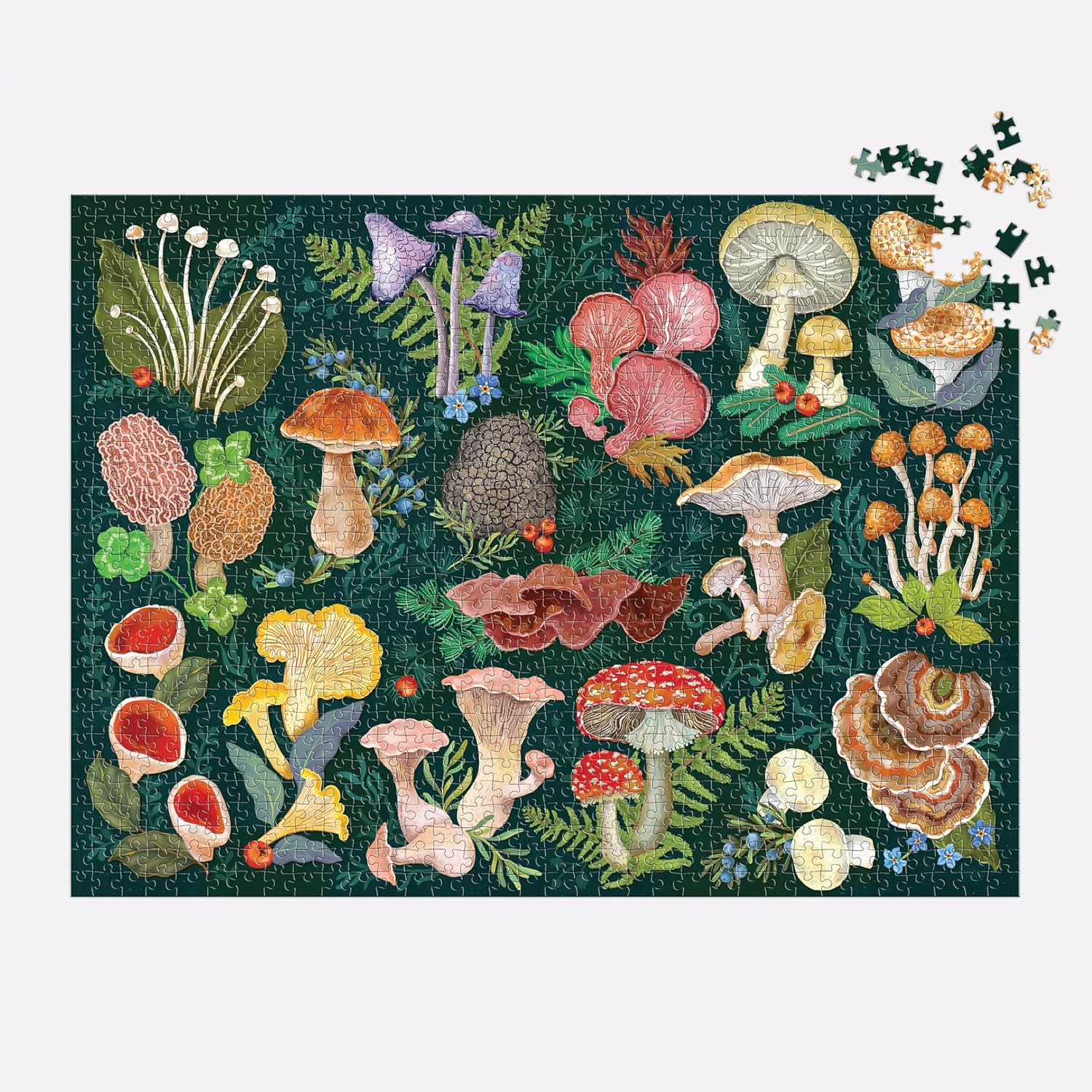Thumbnail 3 de Galison World of Mushrooms puzzel met 1.000 stukjes en paddenstoelencollage