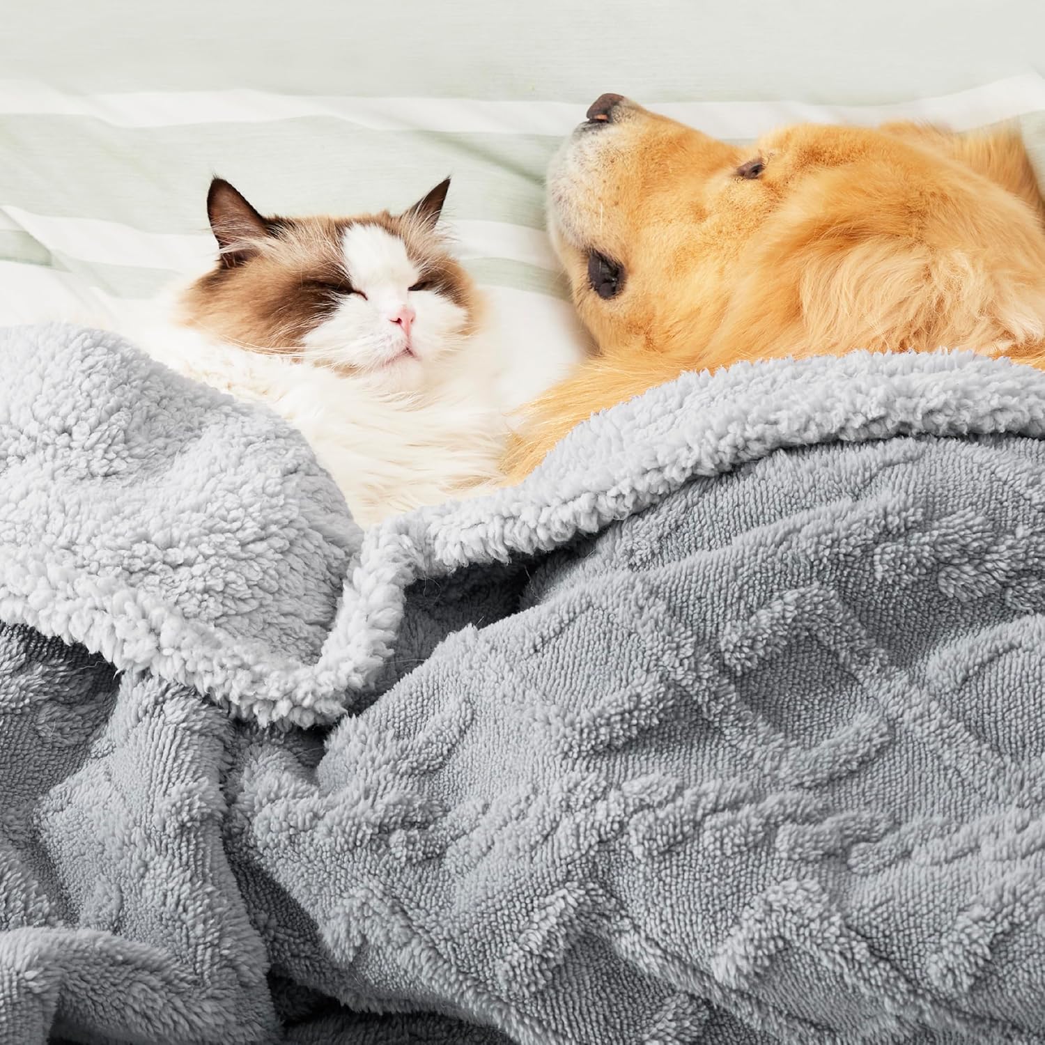 Thumbnail 4 de LE SURE Washable Dog Blanket Extra Large (152x203cm) – Waterproof, Reversible Throw for Dogs and Cats, Grey