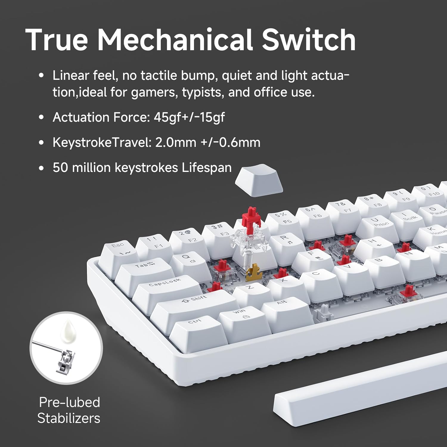 Thumbnail 3 de Dierya T68SE – Clavier gamer mécanique 60% câblé à switches rouges, rétroéclairage LED fixe (T68SE)