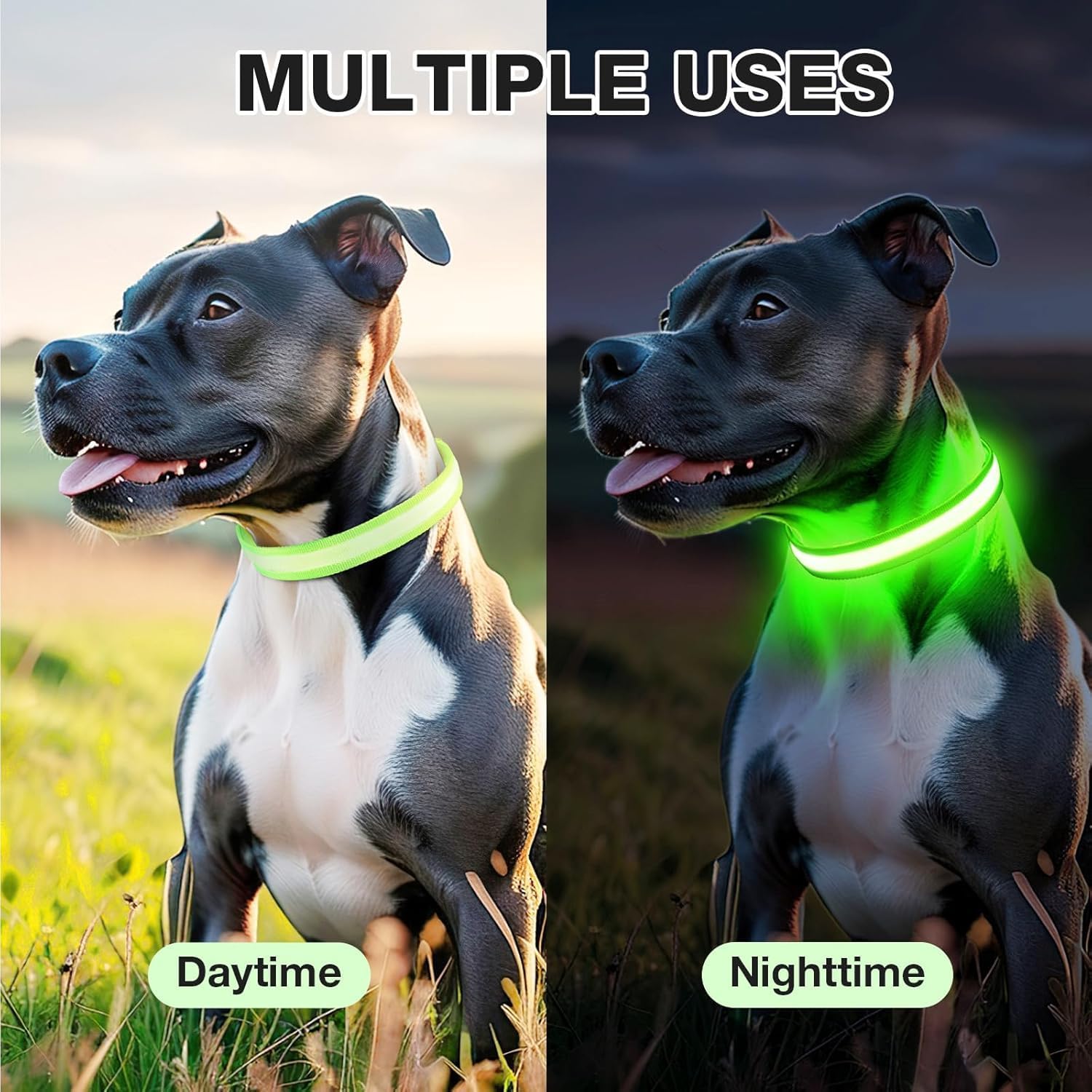 Thumbnail 5 de PcEoTllar Collare luminoso per cane LED ricaricabile 7 colori