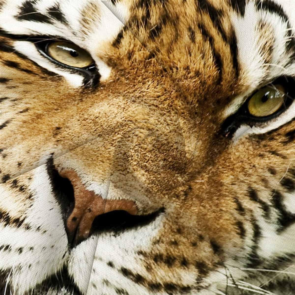 Thumbnail 4 de GSRONY Tiger Throw Pillow Covers (Yellow Tiger Face) 18x18 inches