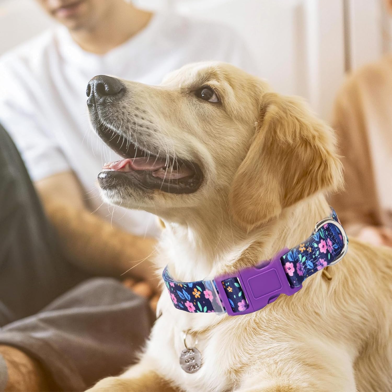 Detalle 2 de Dog Collar, Size S