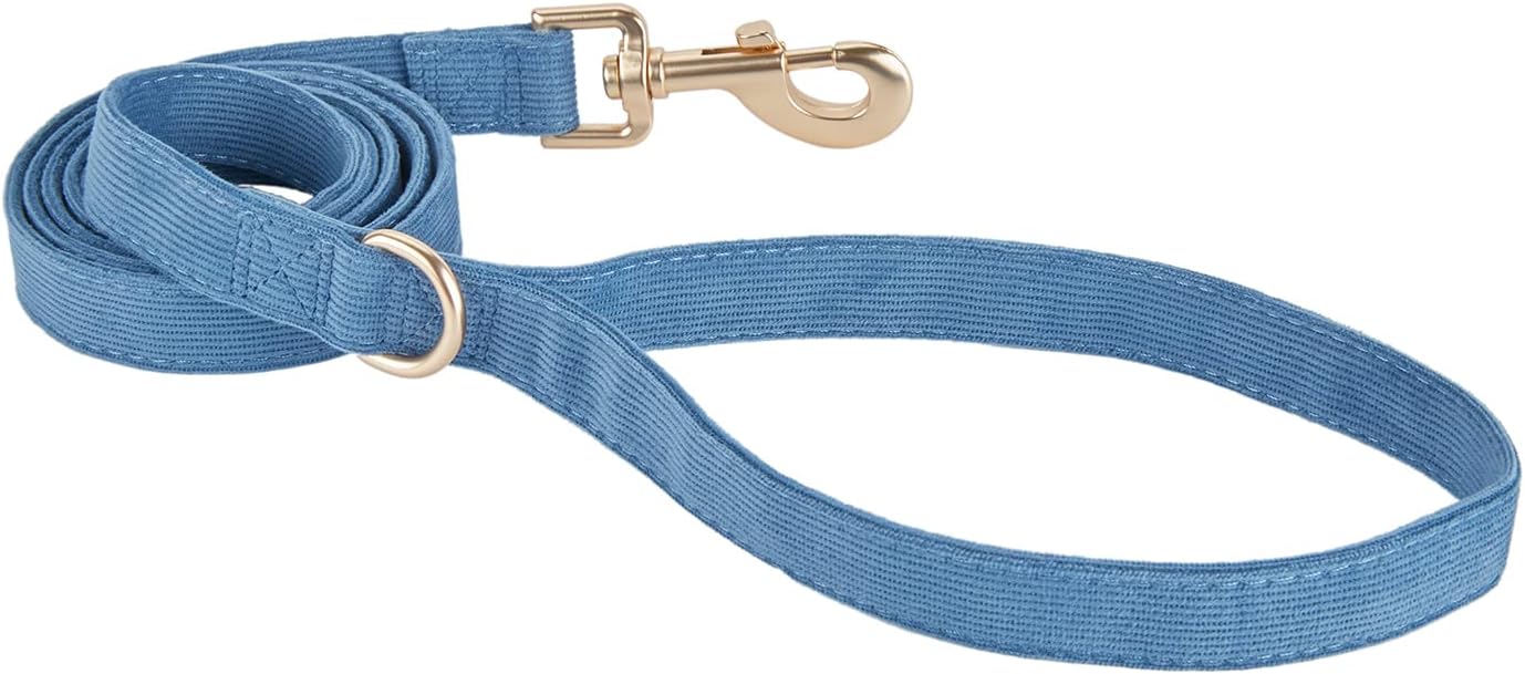 Detalle de Petiry soft dog leash with gold metal clasp for small puppies and dogs (1.5cm x 150cm), Blue S