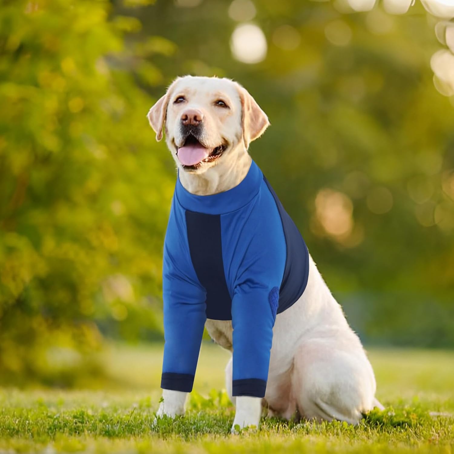Thumbnail 6 de LeLePet Dog Recovery Suit for Front Legs