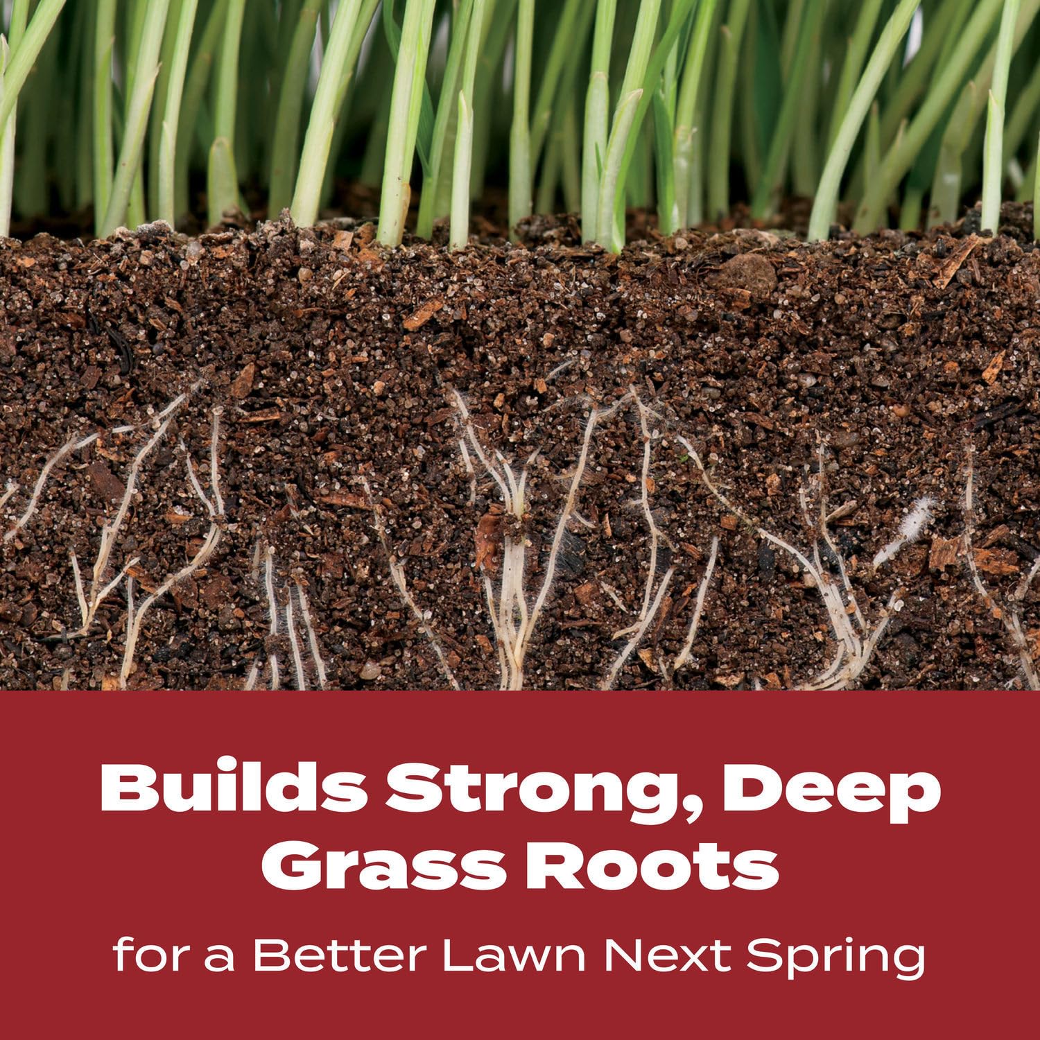 Detalle de Scotts - 22342 Turf Builder WinterGuard Fall Lawn Food, 10 lb, 4,000 sq. ft.