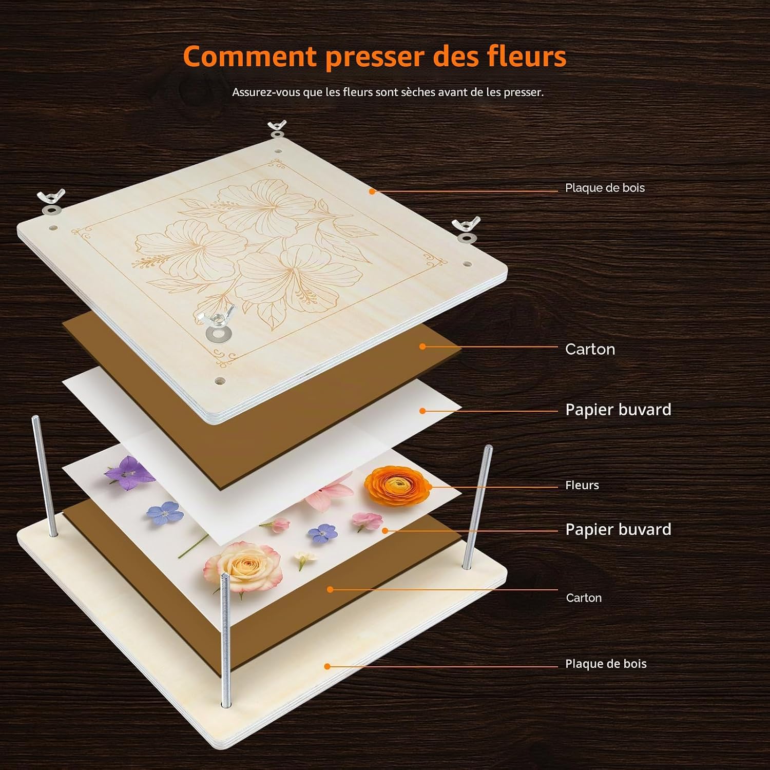 Detalle de Kit de presse à fleurs en bois pour plantes – 27,5 x 27,5 cm