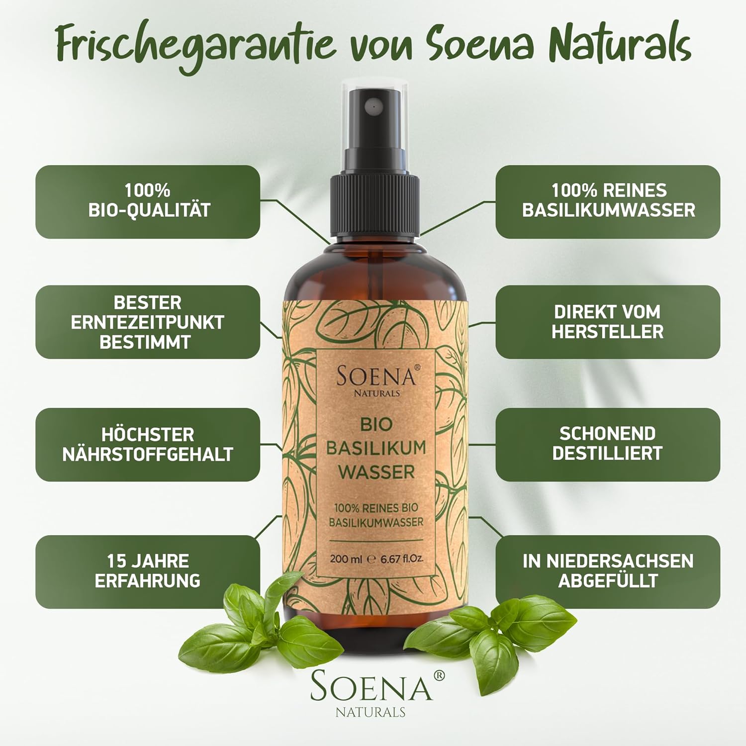Detalle de Basilikumwasser (Hydrolat) von Soena Naturals – Haarkur für dünnes, brüchiges Haar, 200 ml, bio-zertifiziert