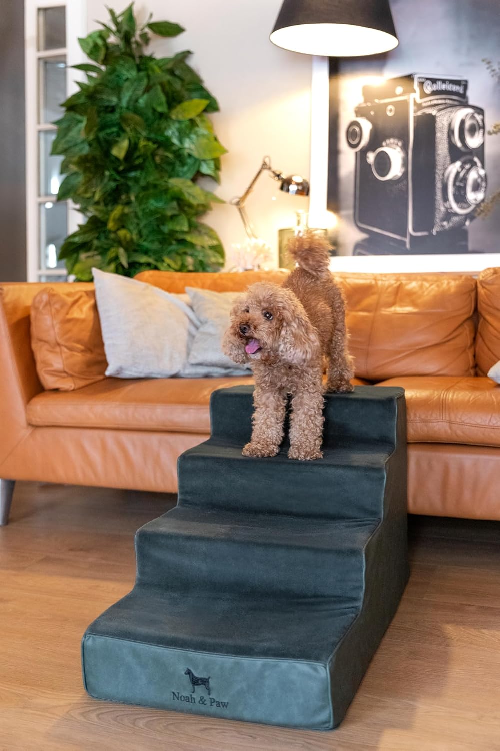 Thumbnail 1 de Noah & Paw Dog Stairs Leather Collection: 17" Extra-Wide 4-Step Dog Ramp for High Beds