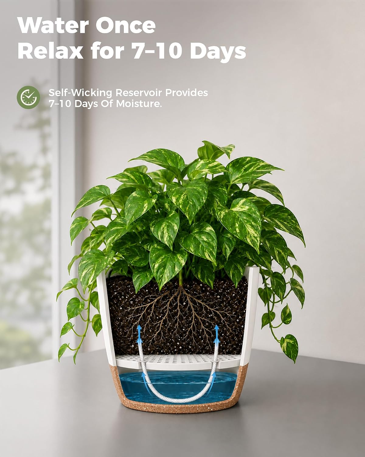Detalle de Bamworld Vaso per Piante da Interno con drenaggio Bianco – Set autoirrigante 6 pezzi