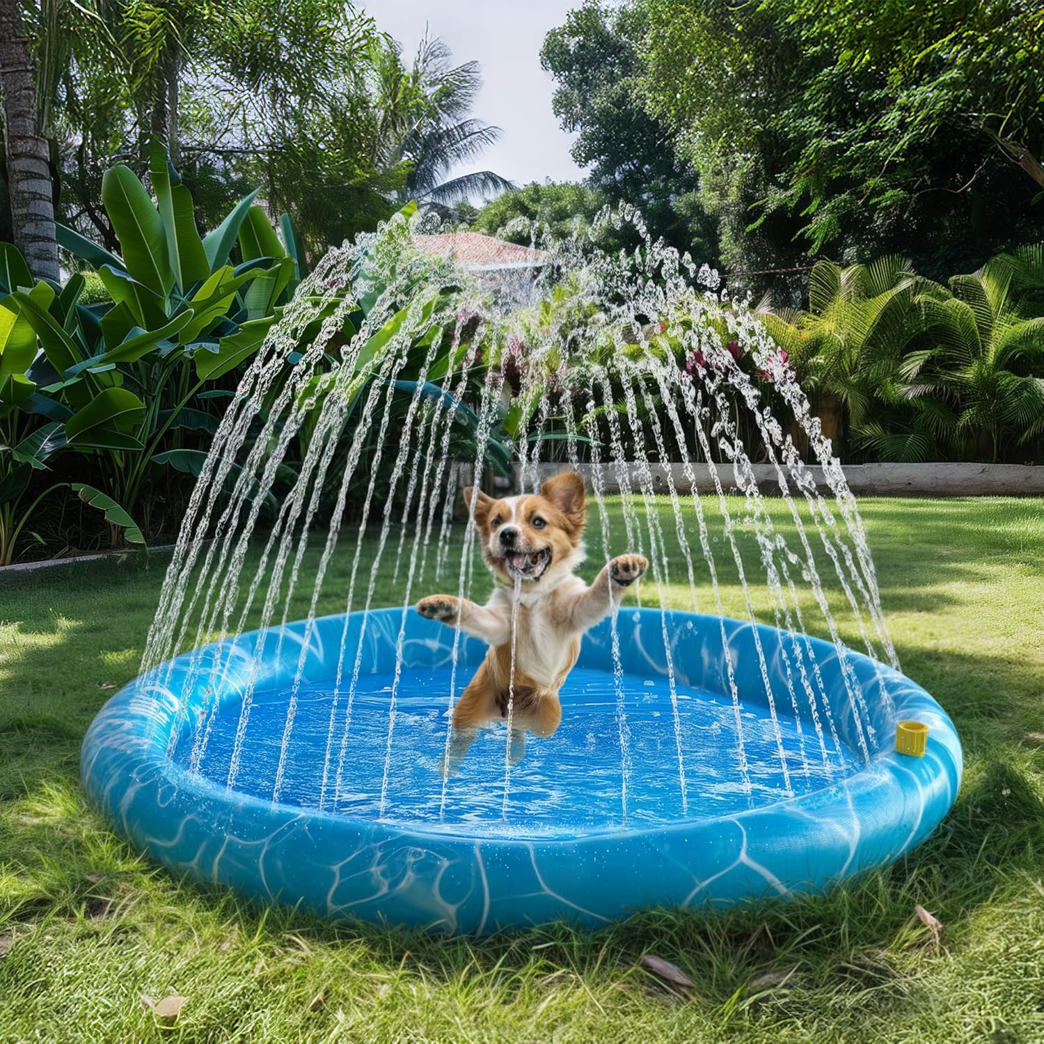 Detalle de ALL FOR PAWS Large Sprinkler Pad Mat (100cm) – Outdoor Dog Cooling Splash Pad