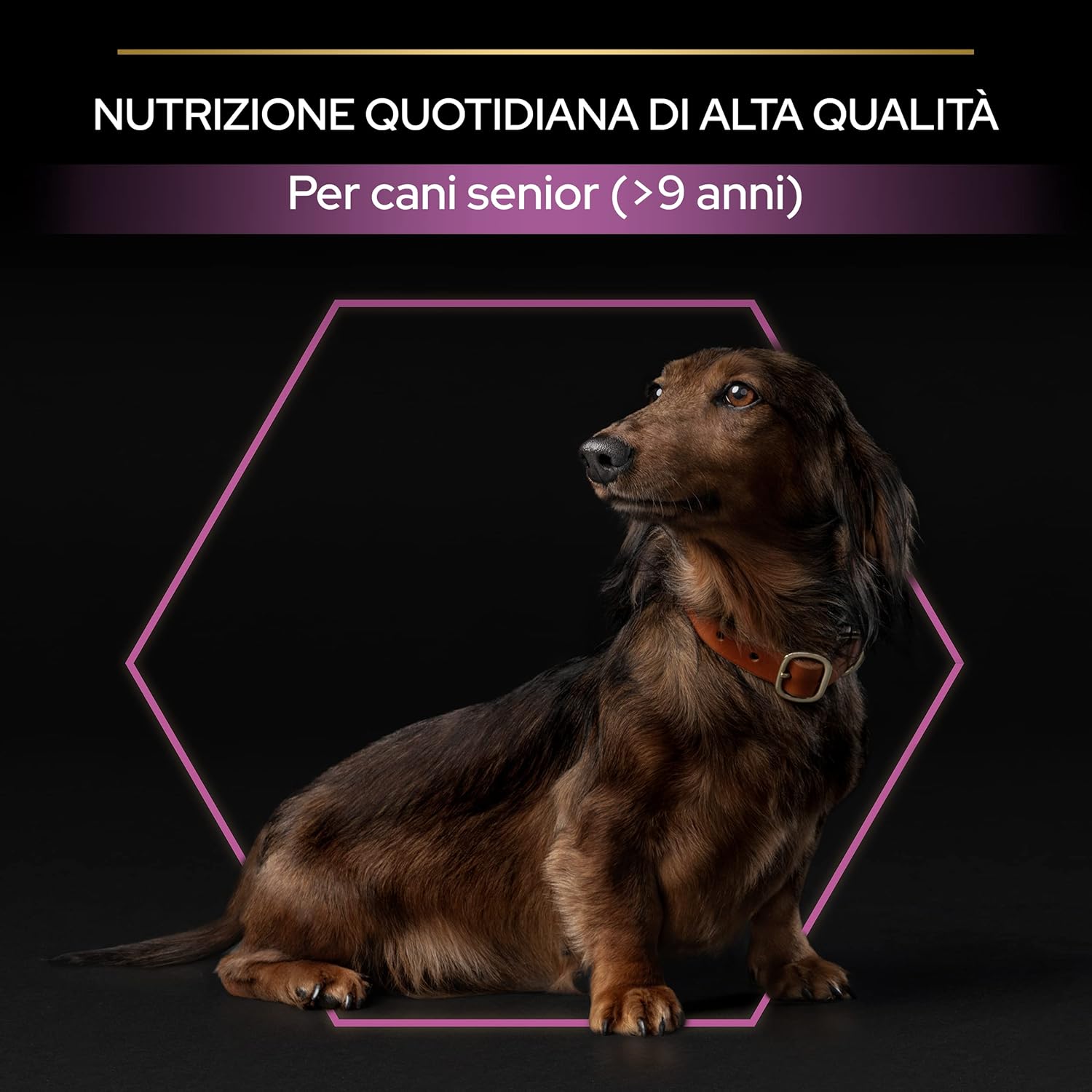 Thumbnail 5 de PURINA PRO PLAN Perro Pequeño 9+ Con OPTIAGE 🐶 3kg