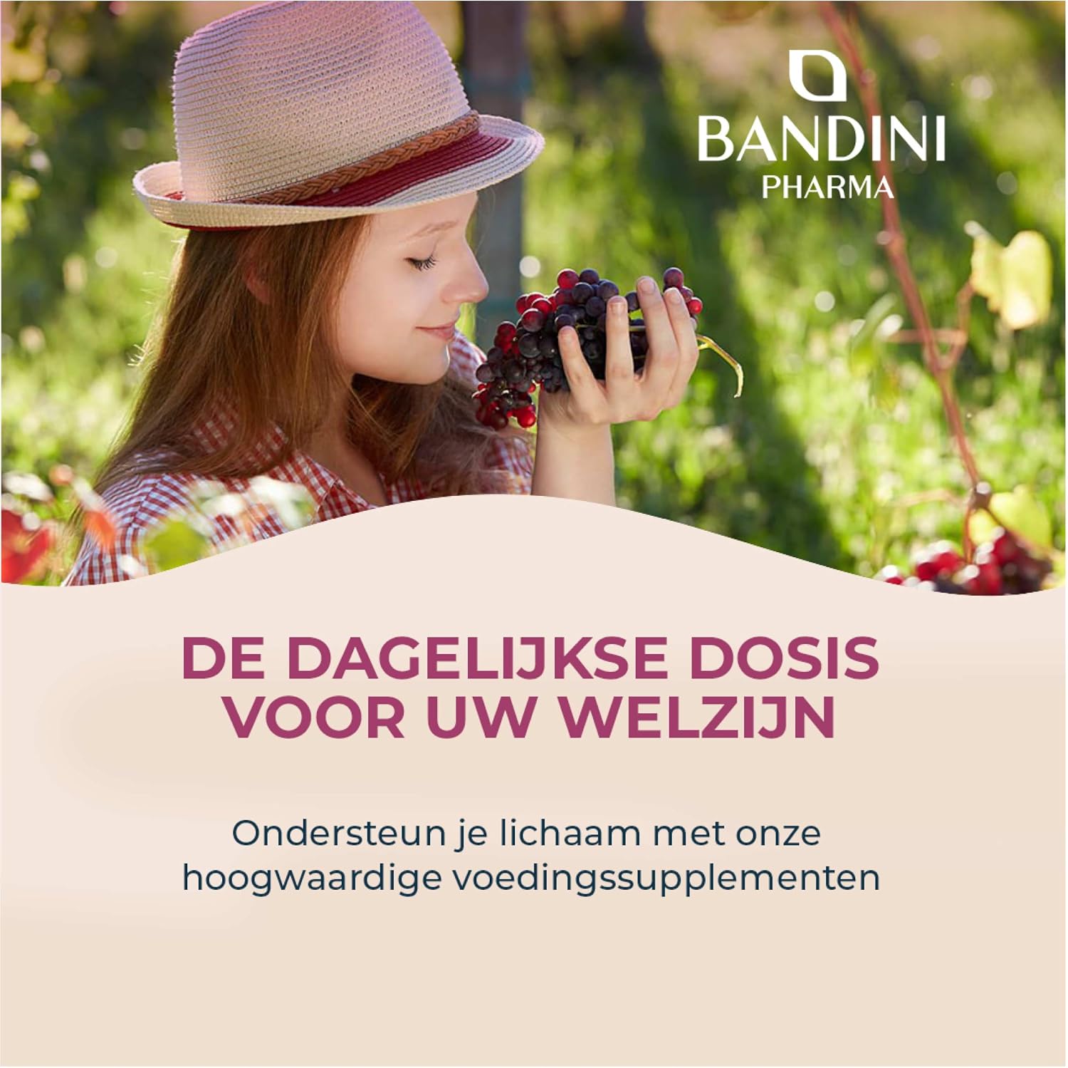 Detalle 2 de BANDINI OPC 95% druivenpitextract, 200 capsules met vitamine C