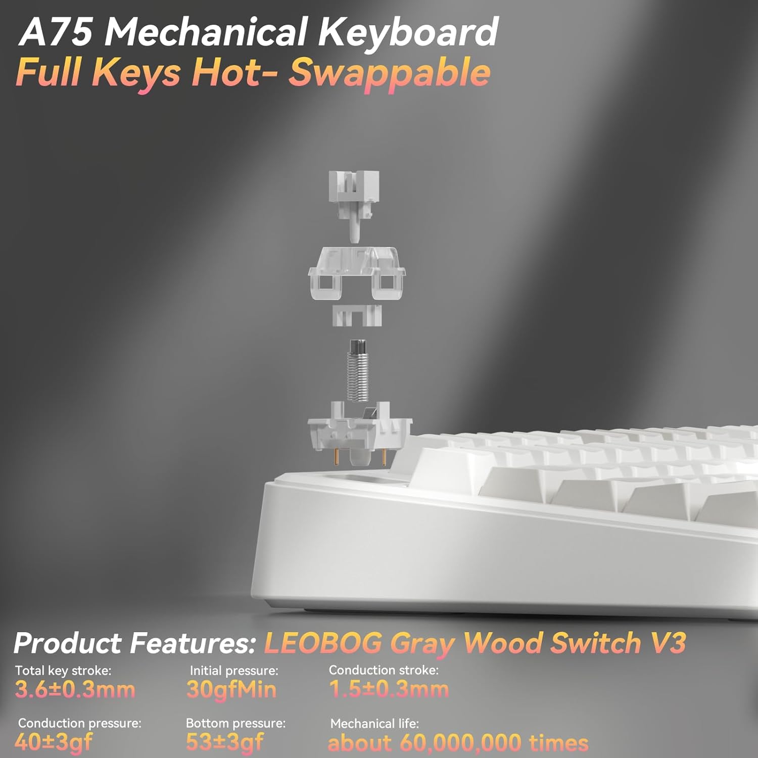 Detalle de SOLAKAKA A75 75% Wireless Mechanical Keyboard — Hot Swappable, RGB, Gasket Mounted
