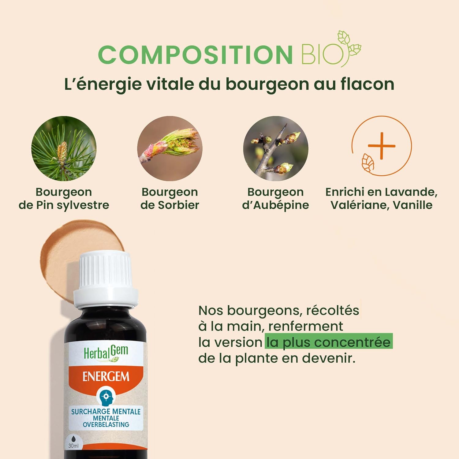 Thumbnail 2 de HERBALGEM EnerGem Surcharge Mentale Bio (gemmothérapie concentrée) – Complément alimentaire en gouttes