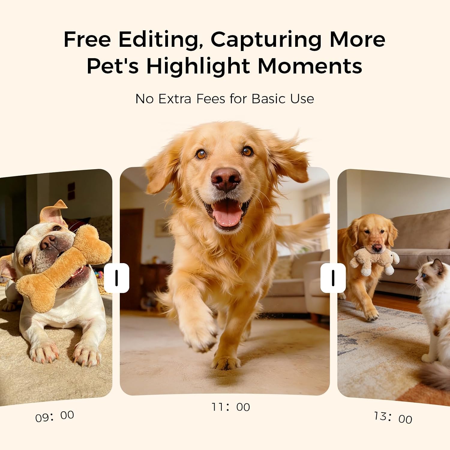 Thumbnail 6 de Pet camera treat dispenser, 3K
