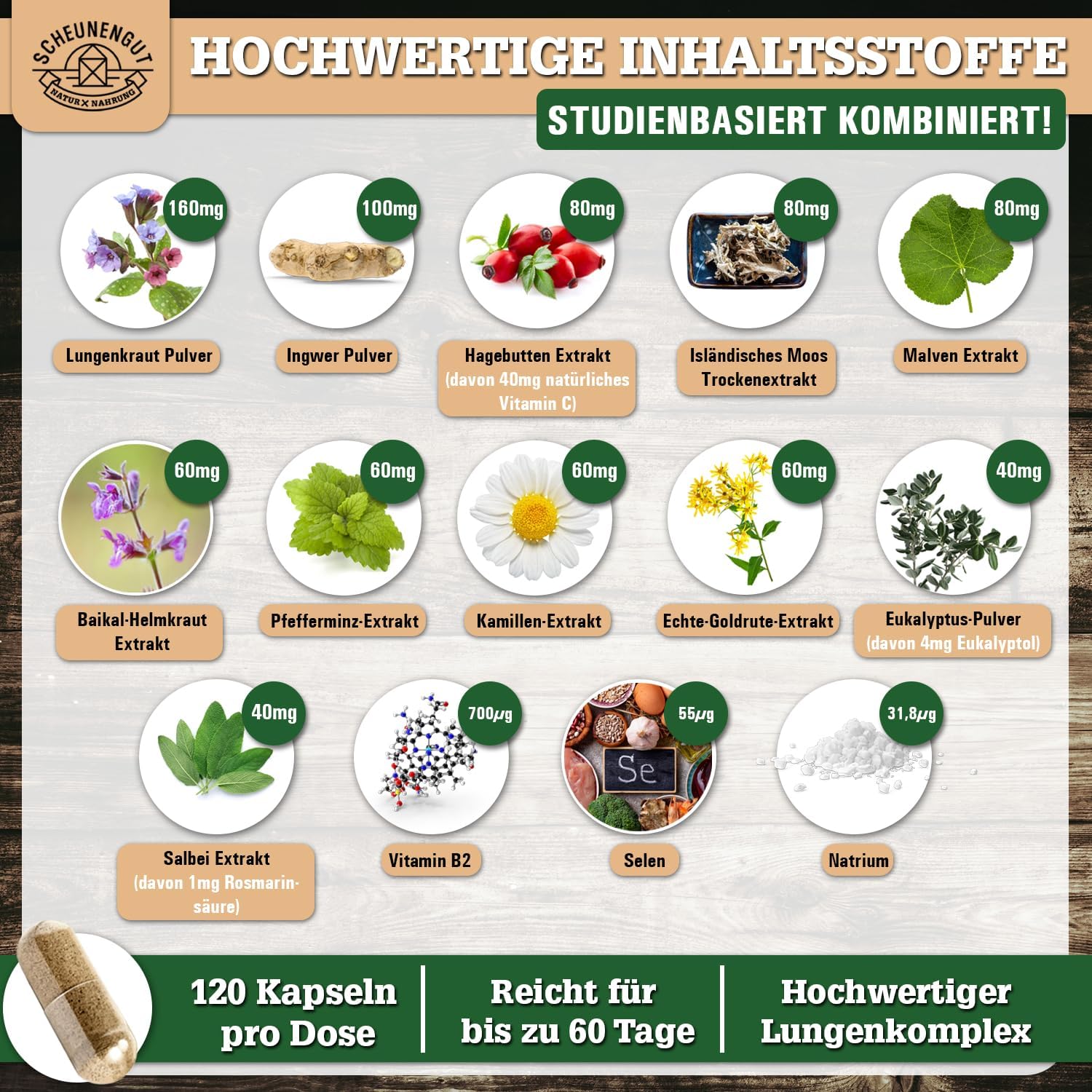 Detalle 2 de LUNGENKRAFT® Lungenkraut Kapseln 120 Stk