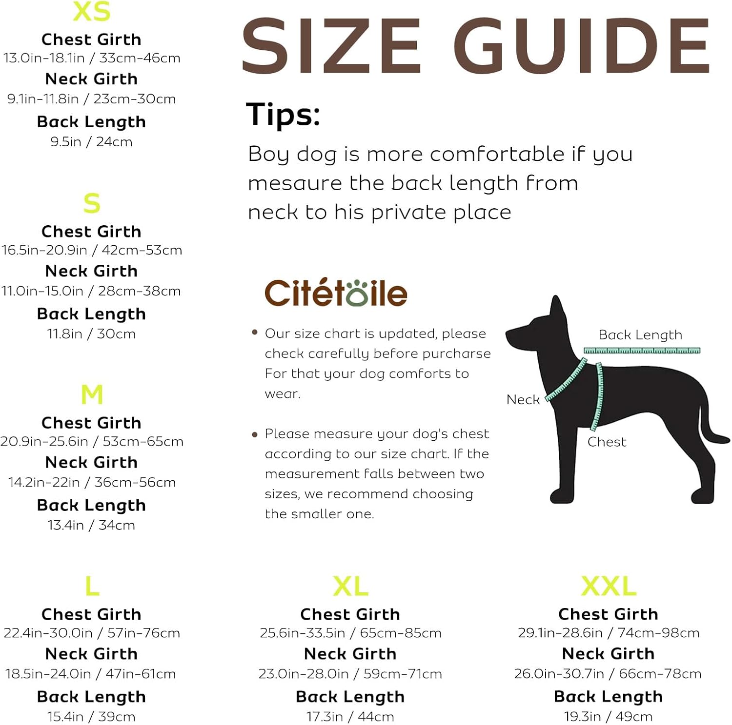 Detalle de CITÉTOILE Dog Shark Life Jackets Vest: Safe, Durable Buoyancy Aid for Your Dog