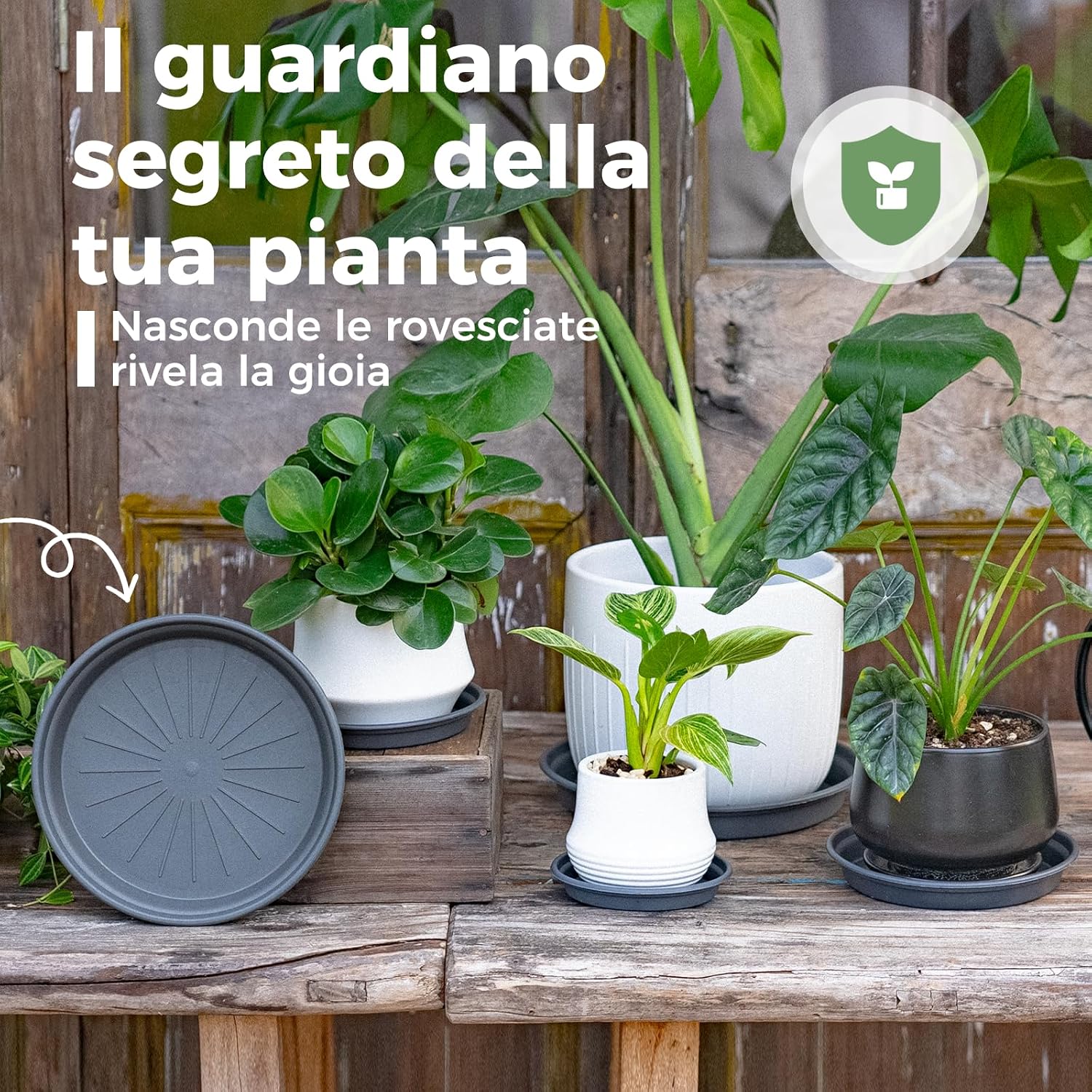 Thumbnail 1 de Bamworld Kit di 5 Sottovasi Rotondi 25/22/18/15/13 cm – Vassoi in Plastica Resistente e Impermeabili