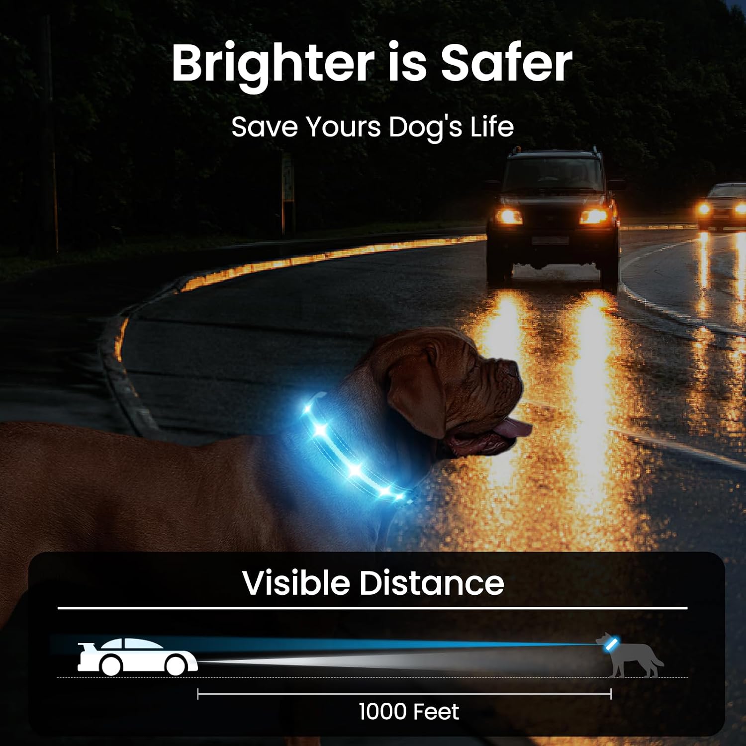 Thumbnail 5 de MASBRILL Light Up LED Dog Collar S 7 Colours