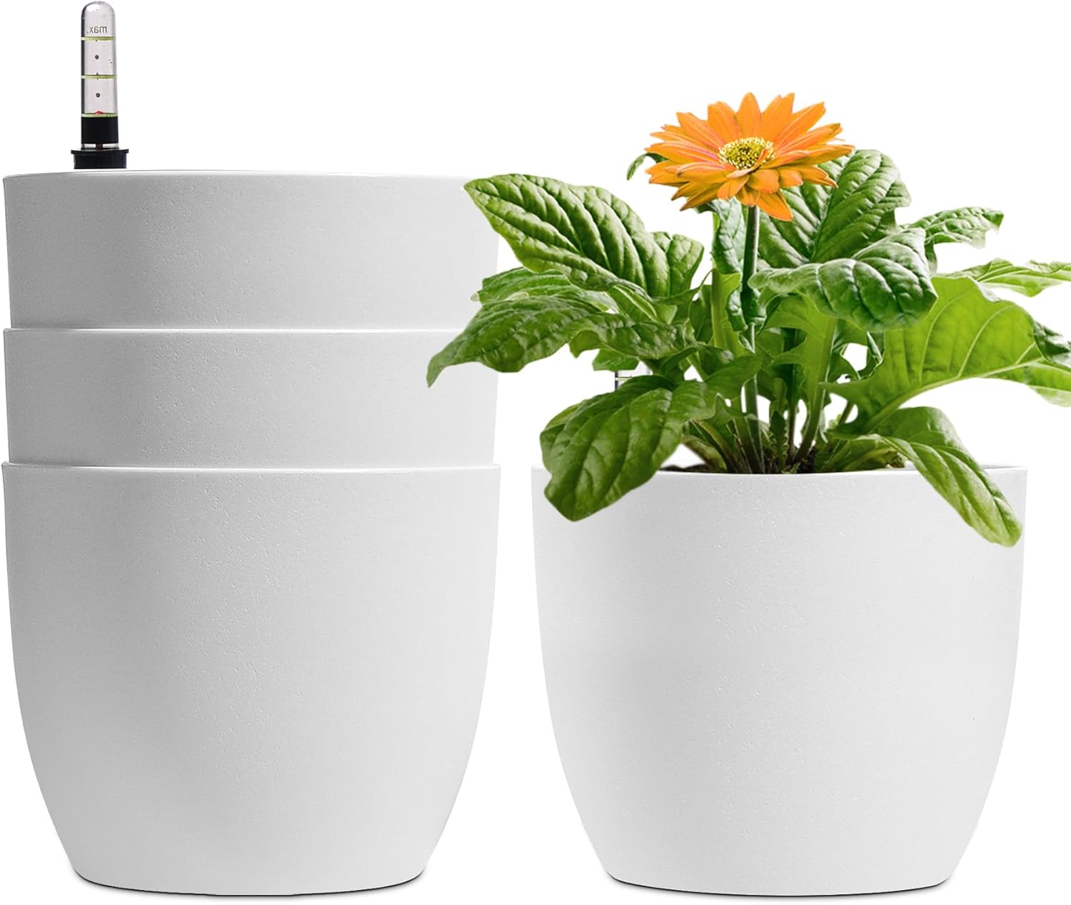 Detalle de T4U 15 cm Selbstwässernder Blumentopf im 4er-Set – Bewässerungssystem für Innen- und Außenbereich
