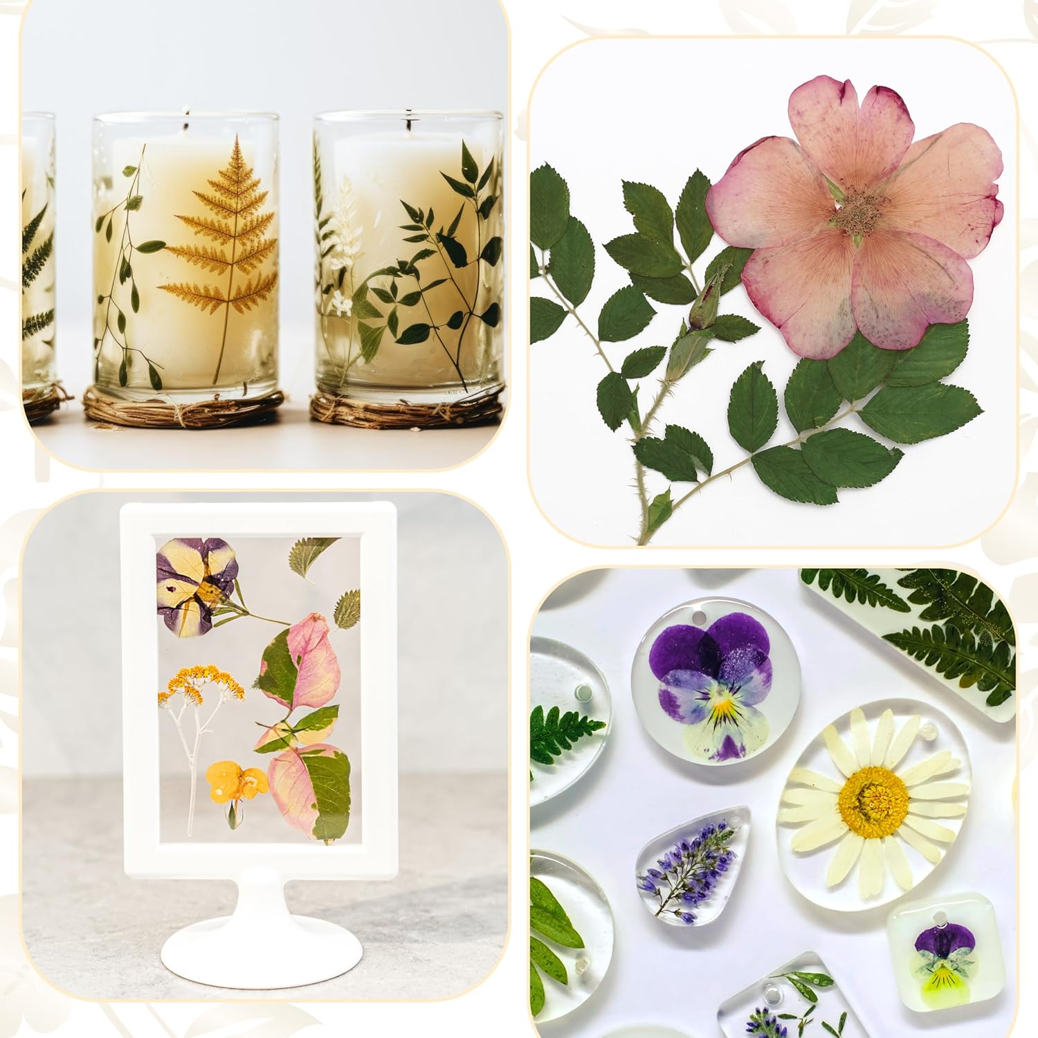 Thumbnail 4 de Aboofx Microwave Flower Press Kit (6.3 x 6.3 inch / 16 x 16 cm) – 3 Layers quick-drying pressing kit