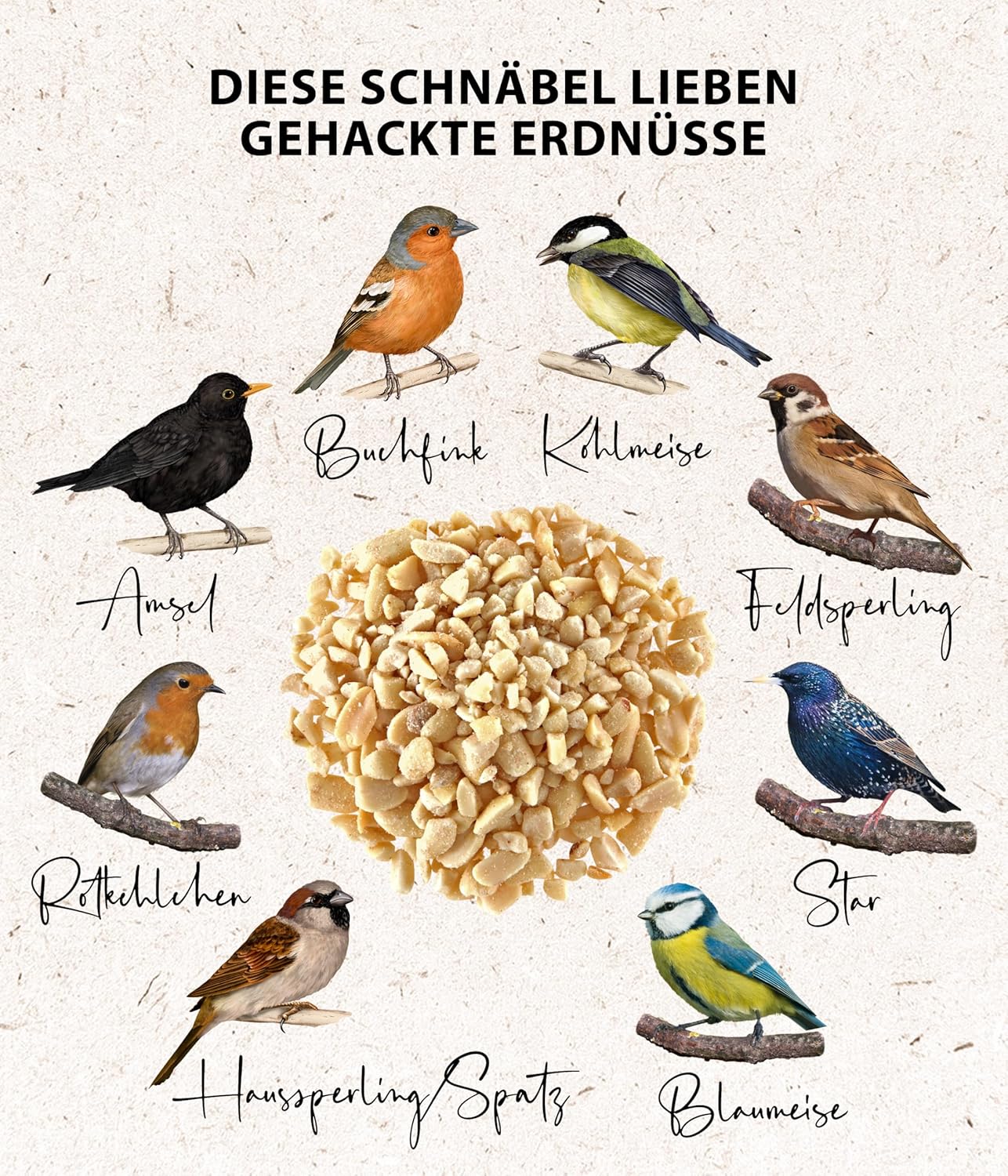 Detalle de Dehner Natura Premium Wildvogelfutter mit gehackten Erdnüssen, schalenfrei – Ganzjahresfutter für Wildvögel, 1 kg