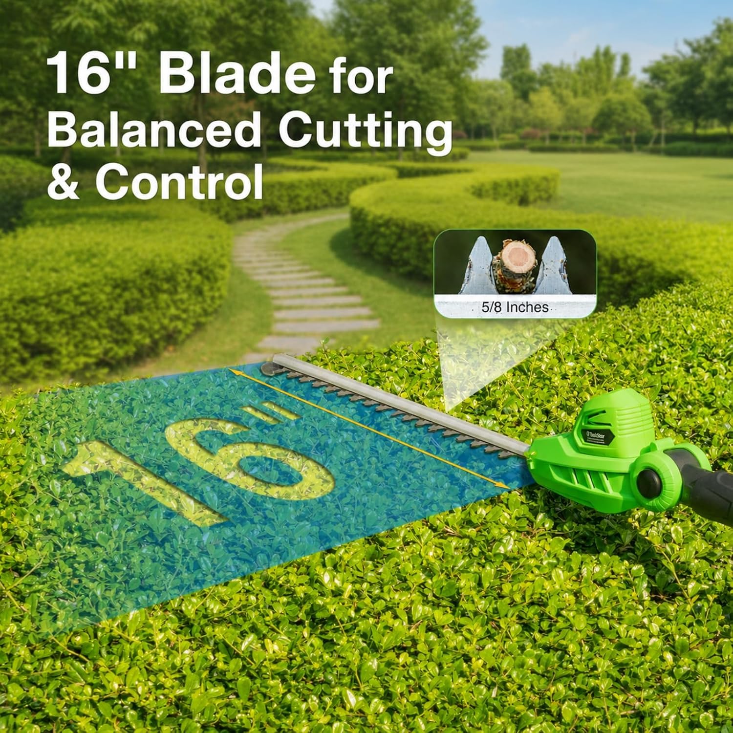 Thumbnail 6 de TaskStar Pole Hedge Trimmer 20V