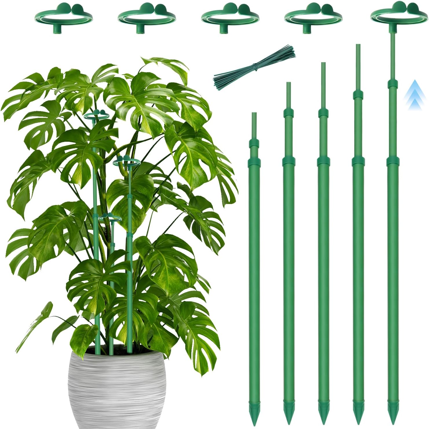 Detalle de Stroller garden-stakes Telescoping Plant Stakes, 5-Pack, 17.9–42.3-Inch